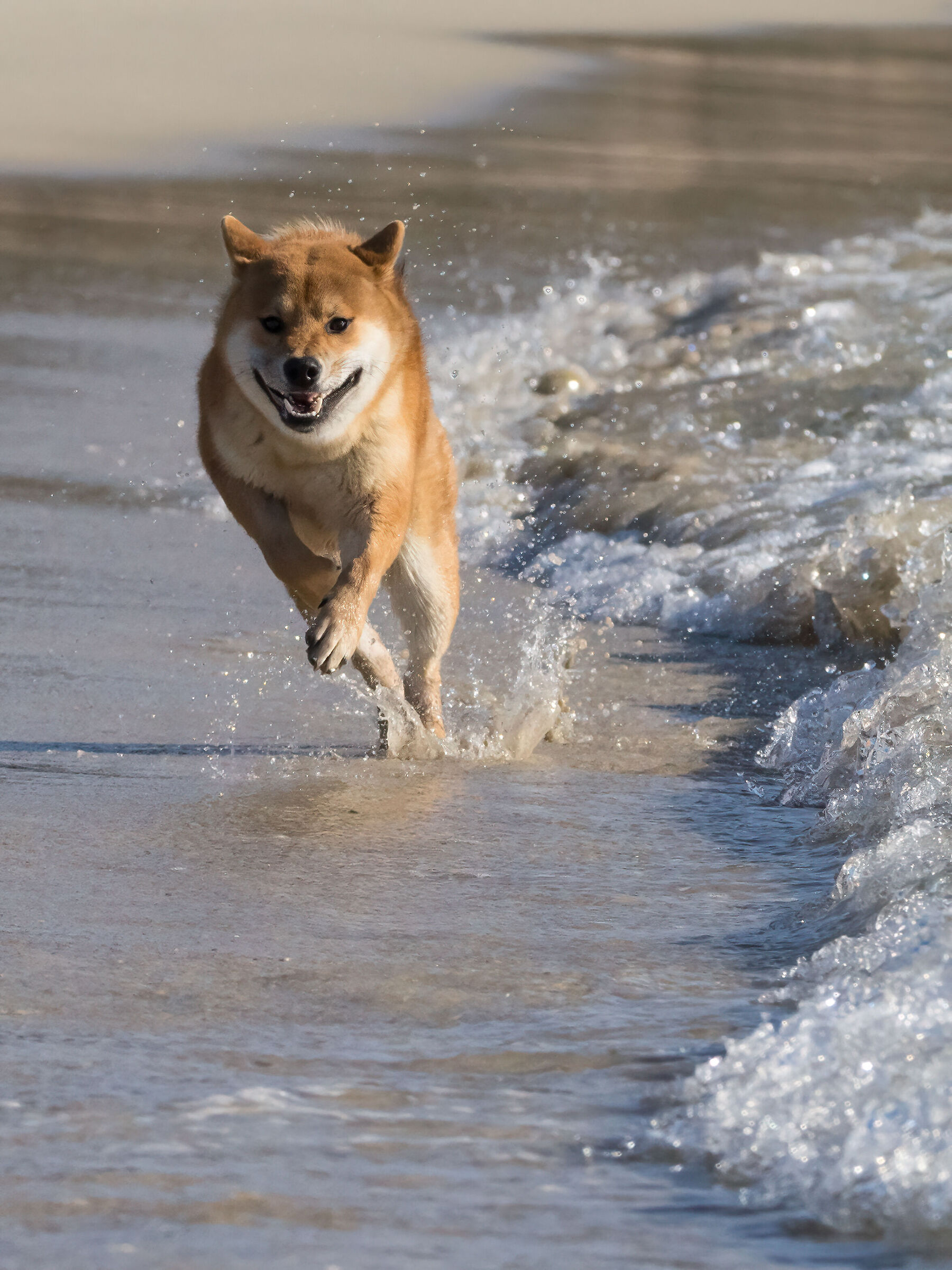 Vik sul bagnoasciuga