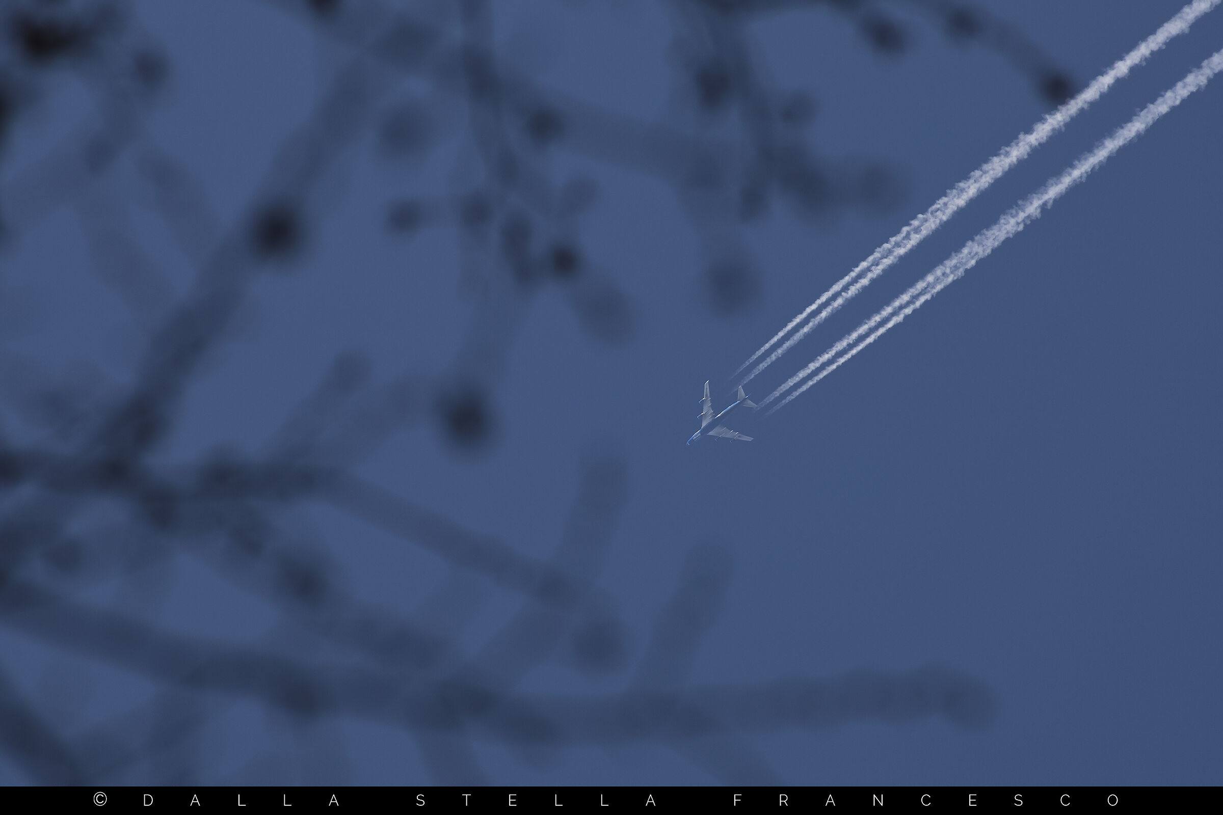 747 among the fronds