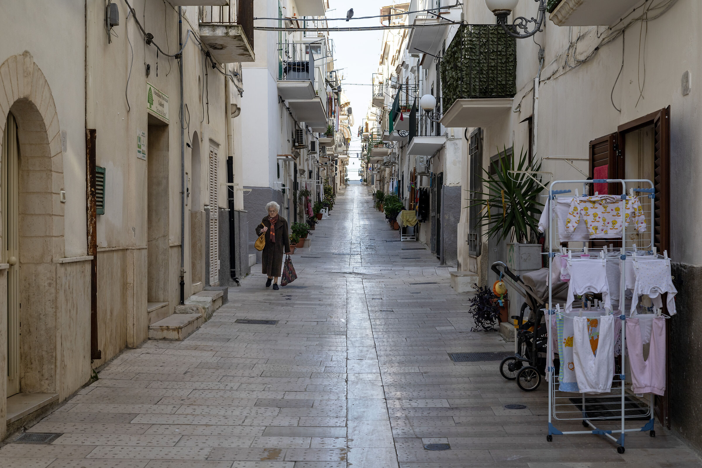 Nonna, piccione e pannolini