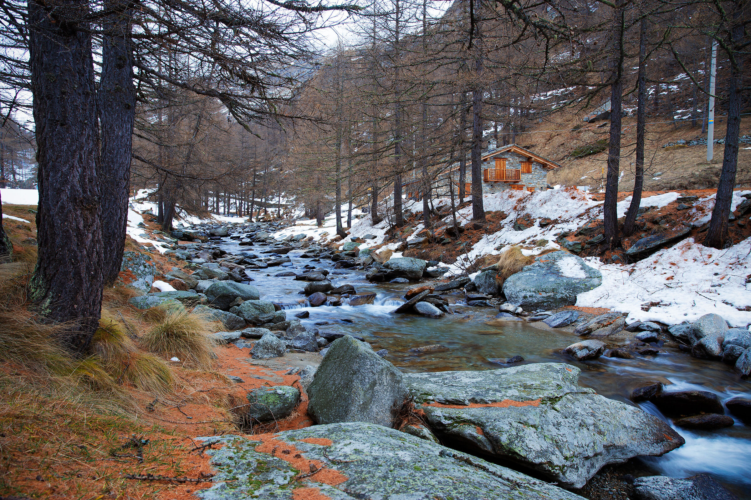 La casa nel freddo bosco