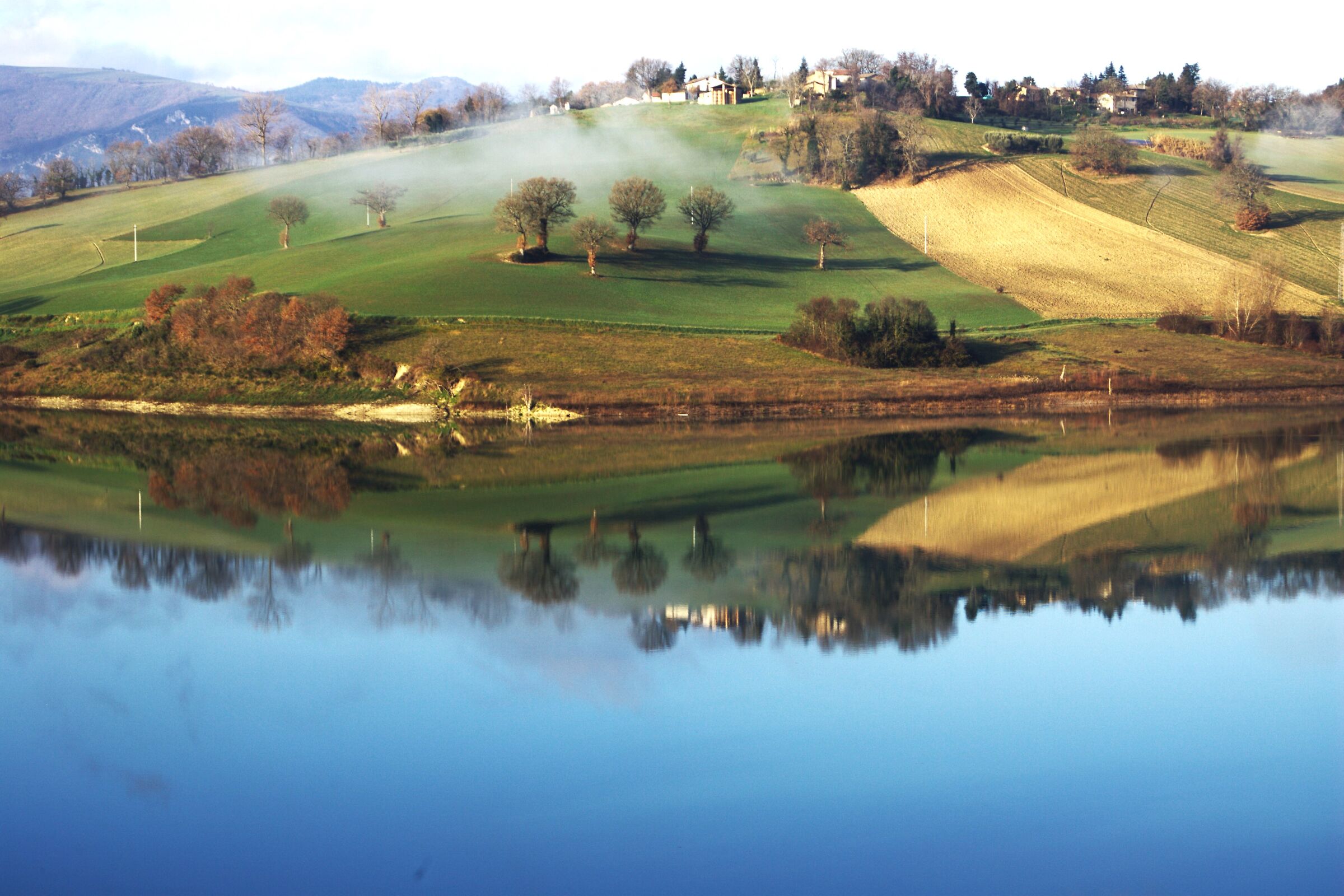 Senza Titolo