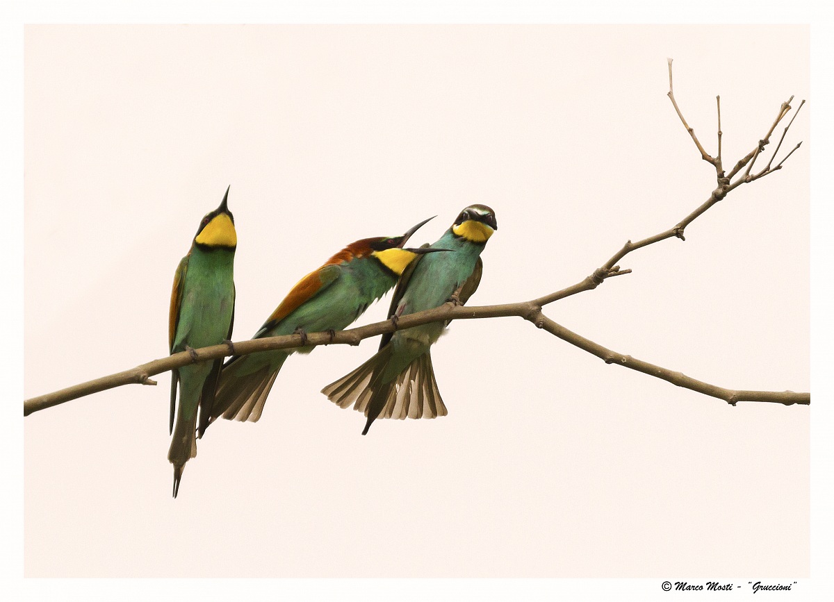 Between husband and wife do not put the bill ...!