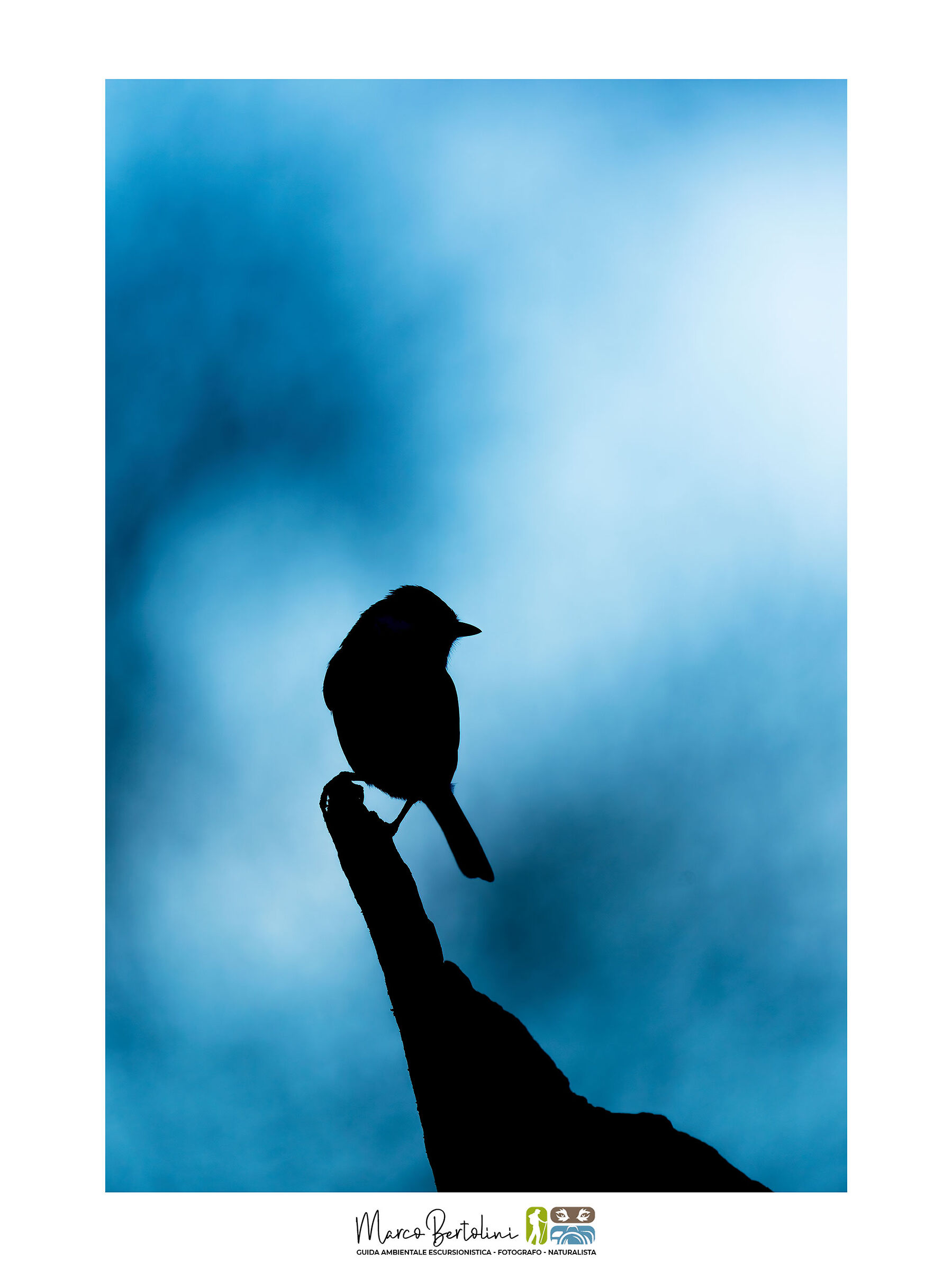 Nel mondo delle fiabe...