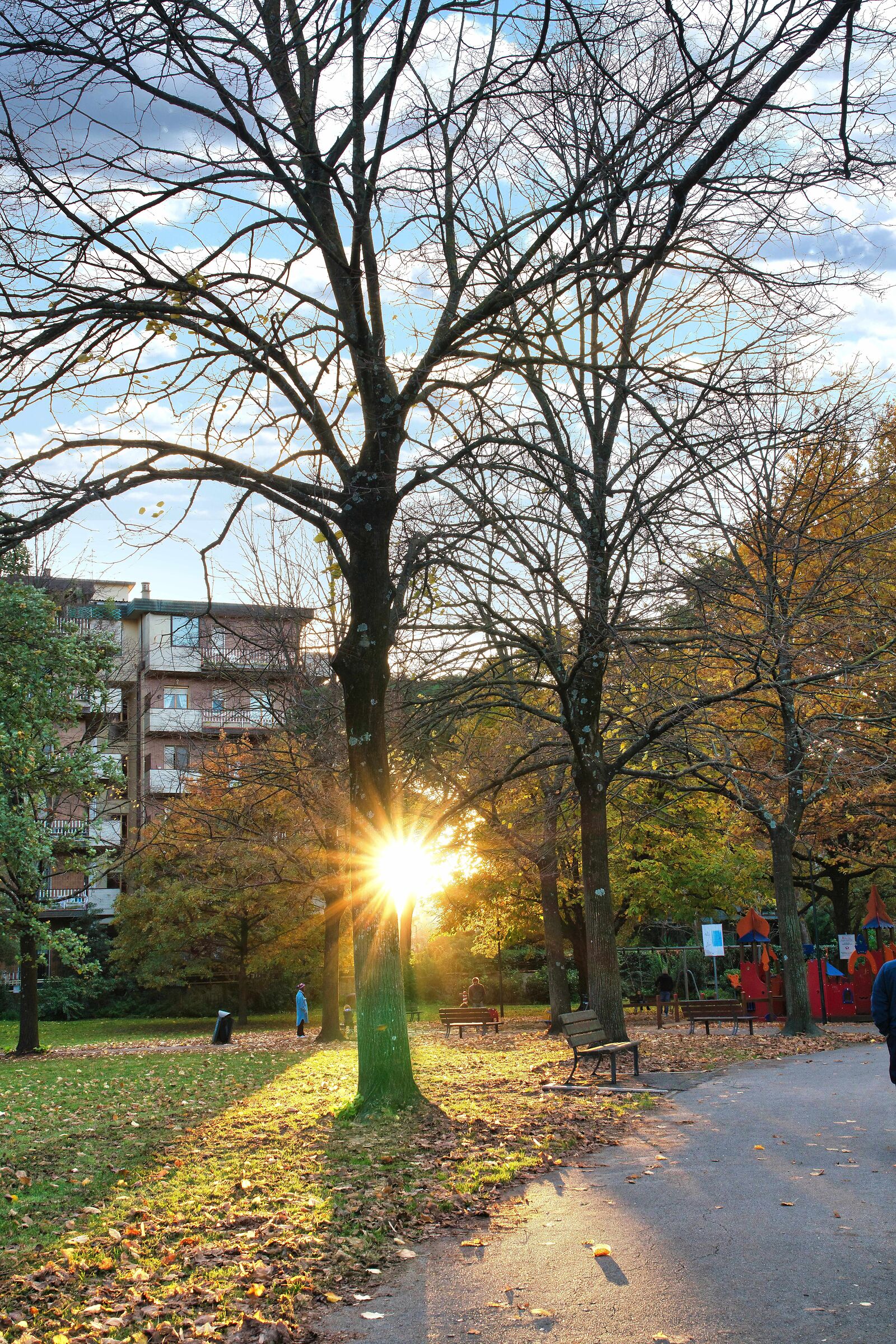 Play hide and seek at sunset