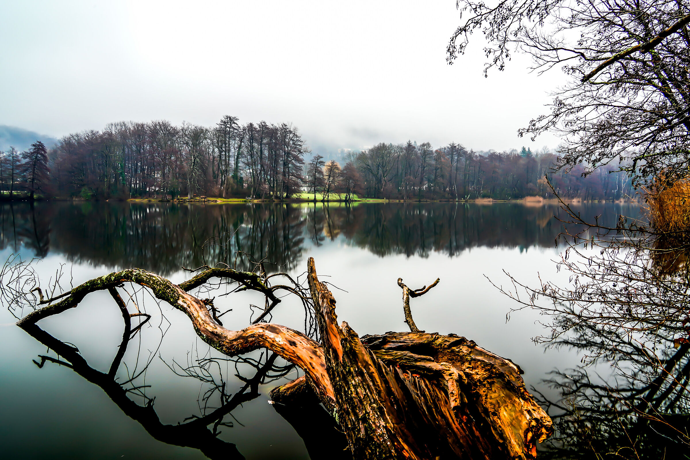 Lago d'Origlio (Svizzera)