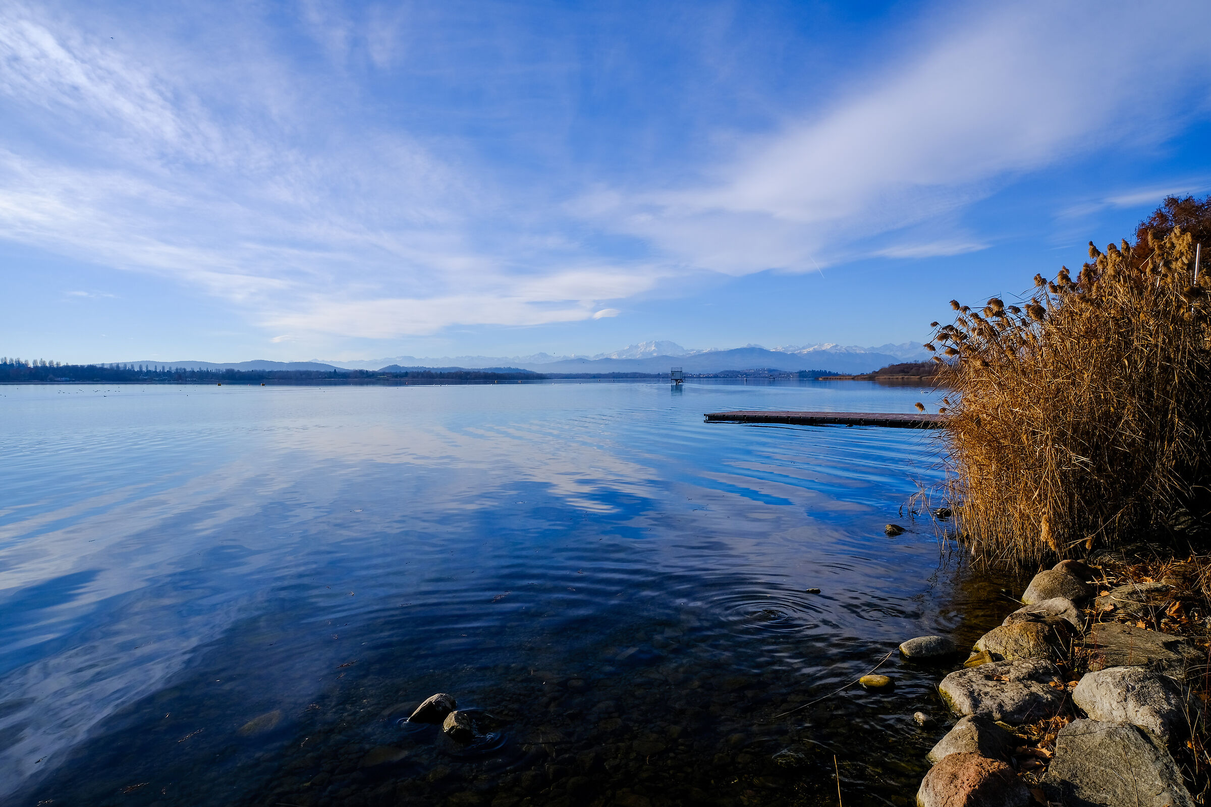 Pomeriggio di gennaio