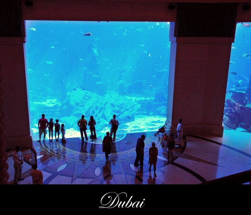 Atlantis Hotel on the palm
