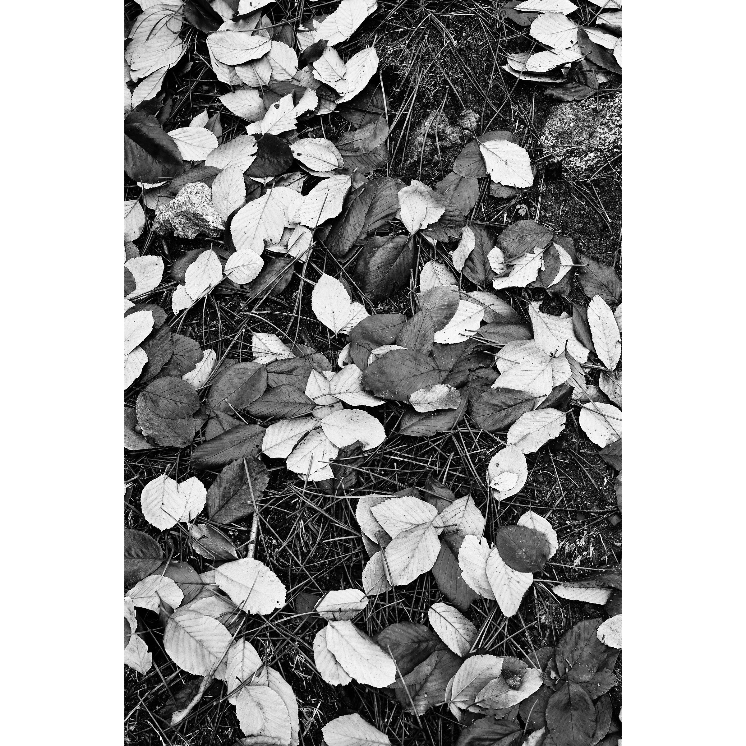 Untitled Photo