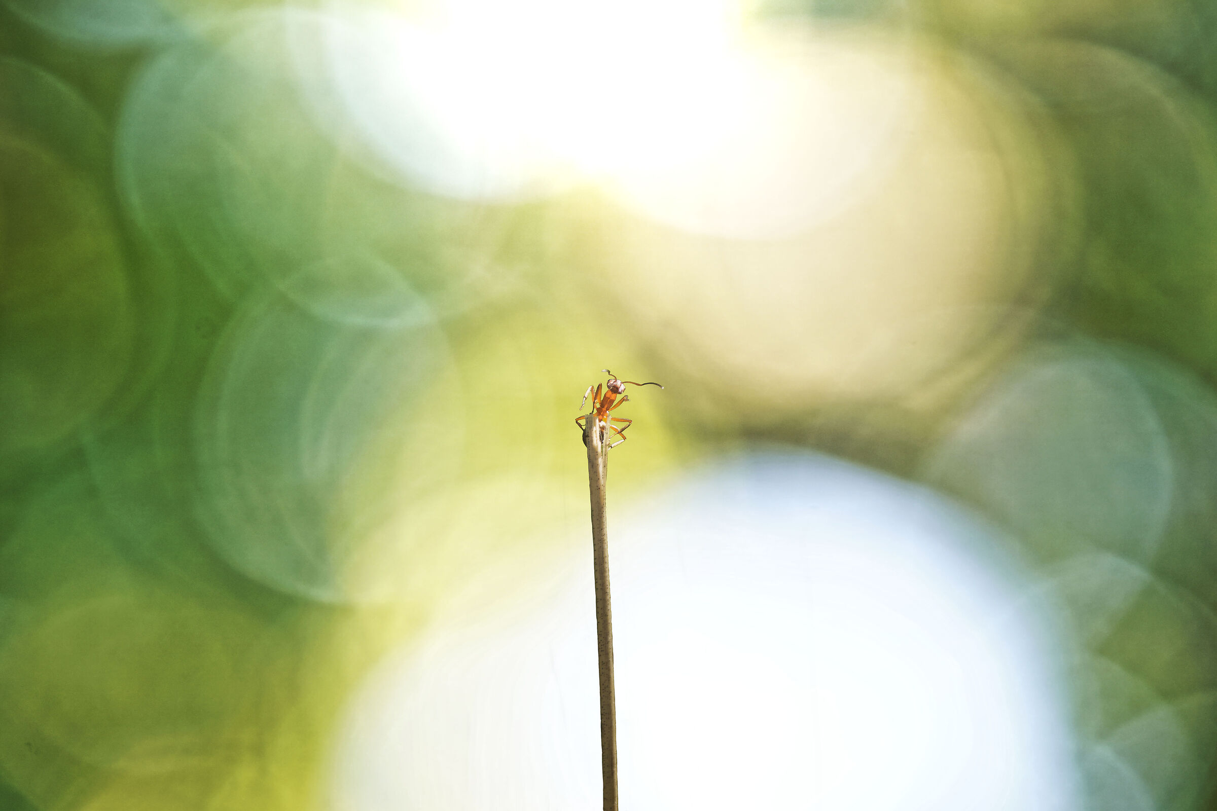 Untitled Photo