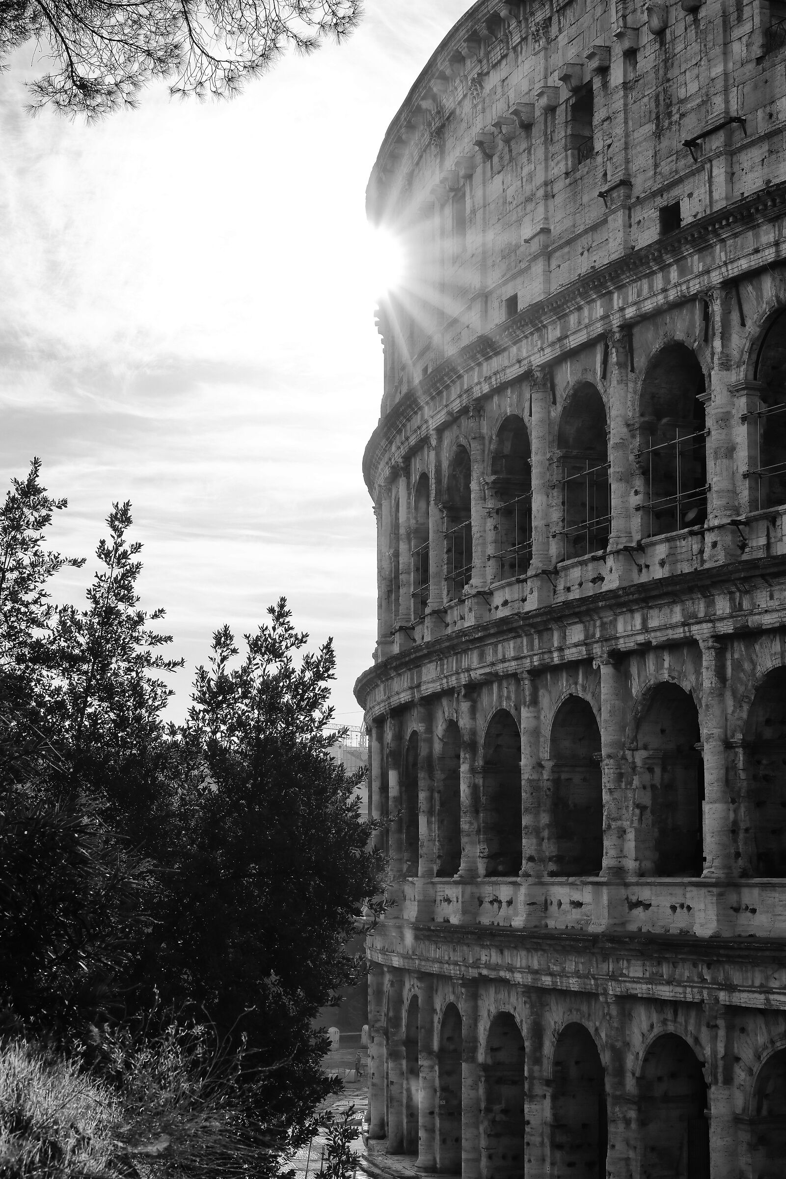 Coliseum eclipse