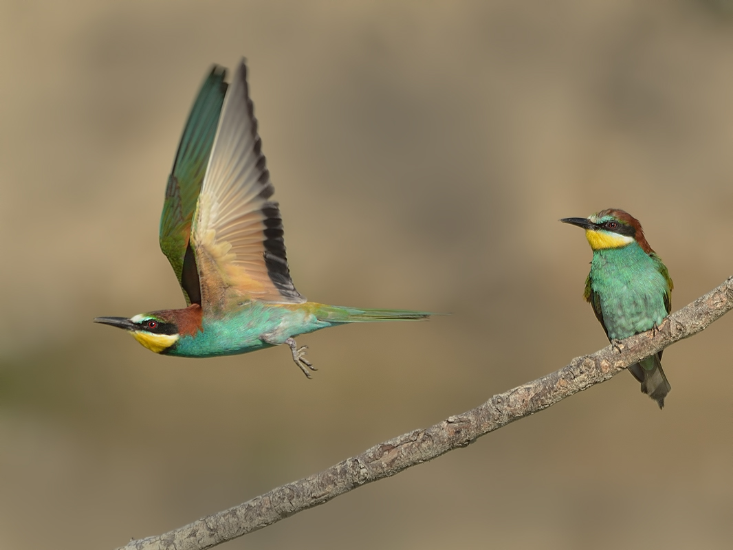 Where are you going?