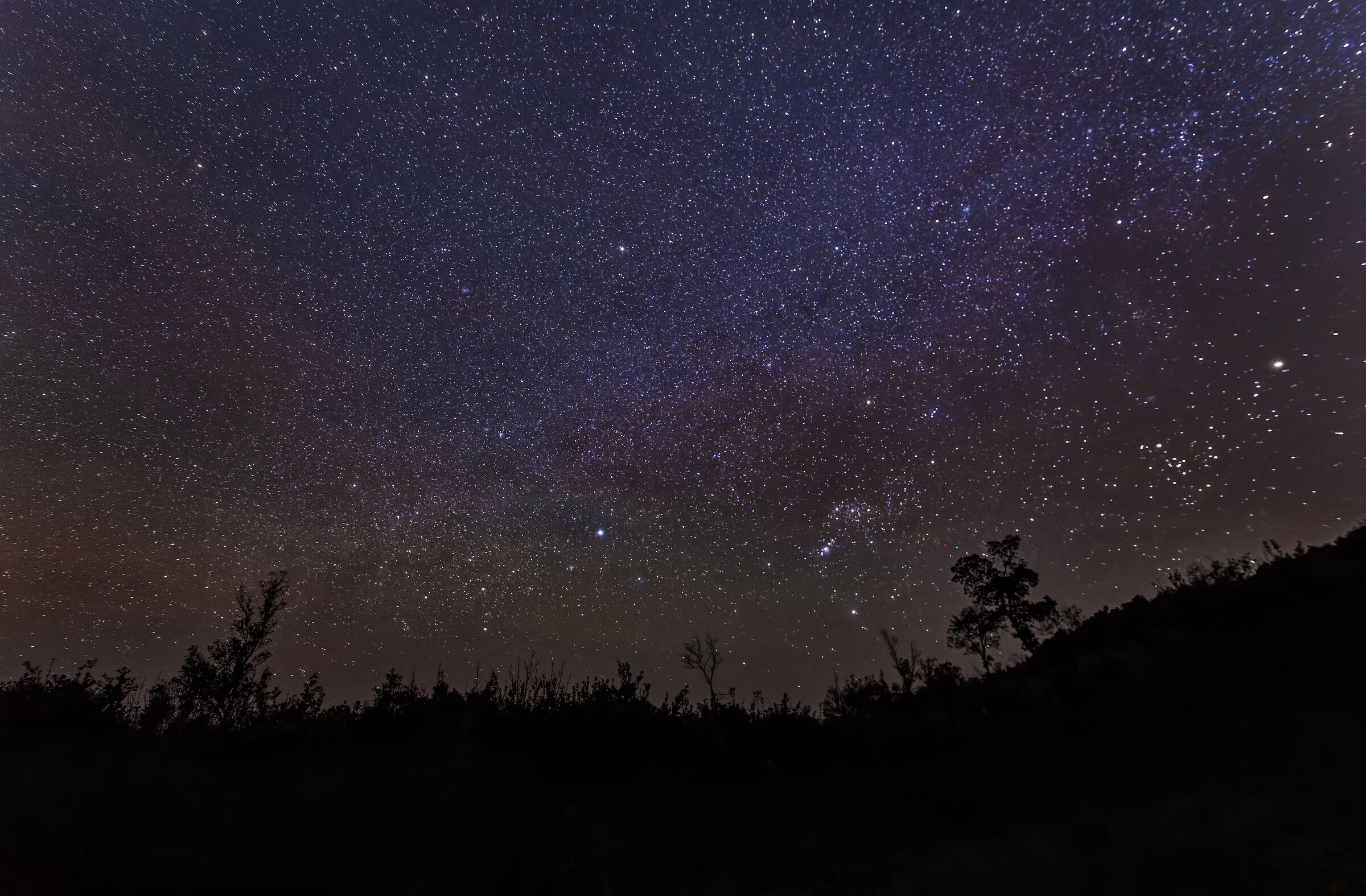 Stars On New Year's Eve