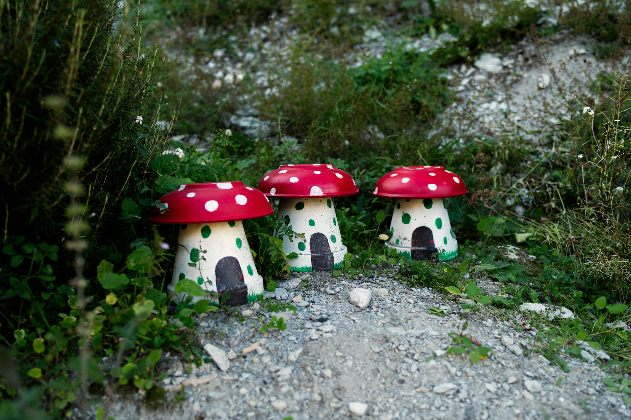 The three mushrooms