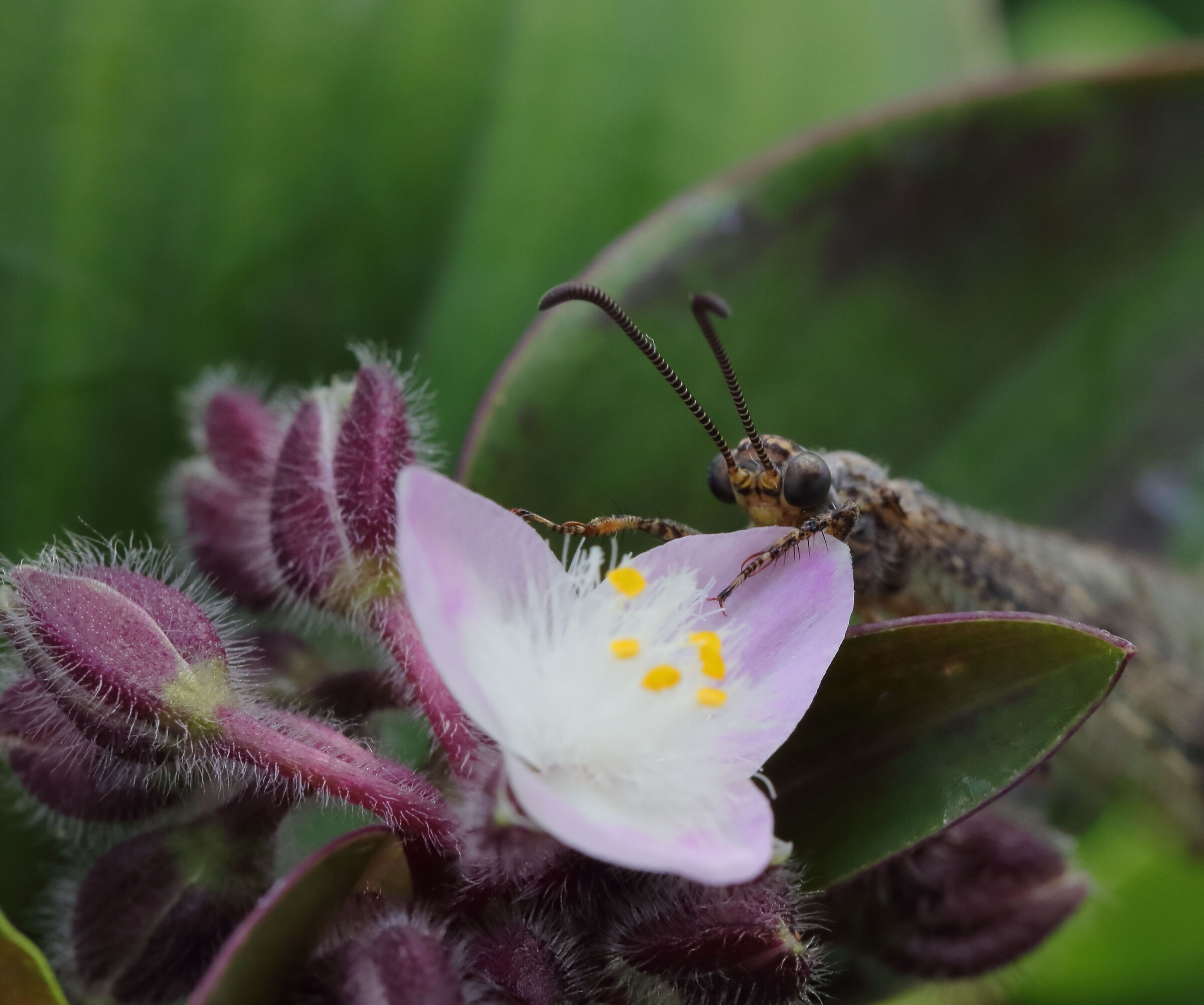 First macro experiments