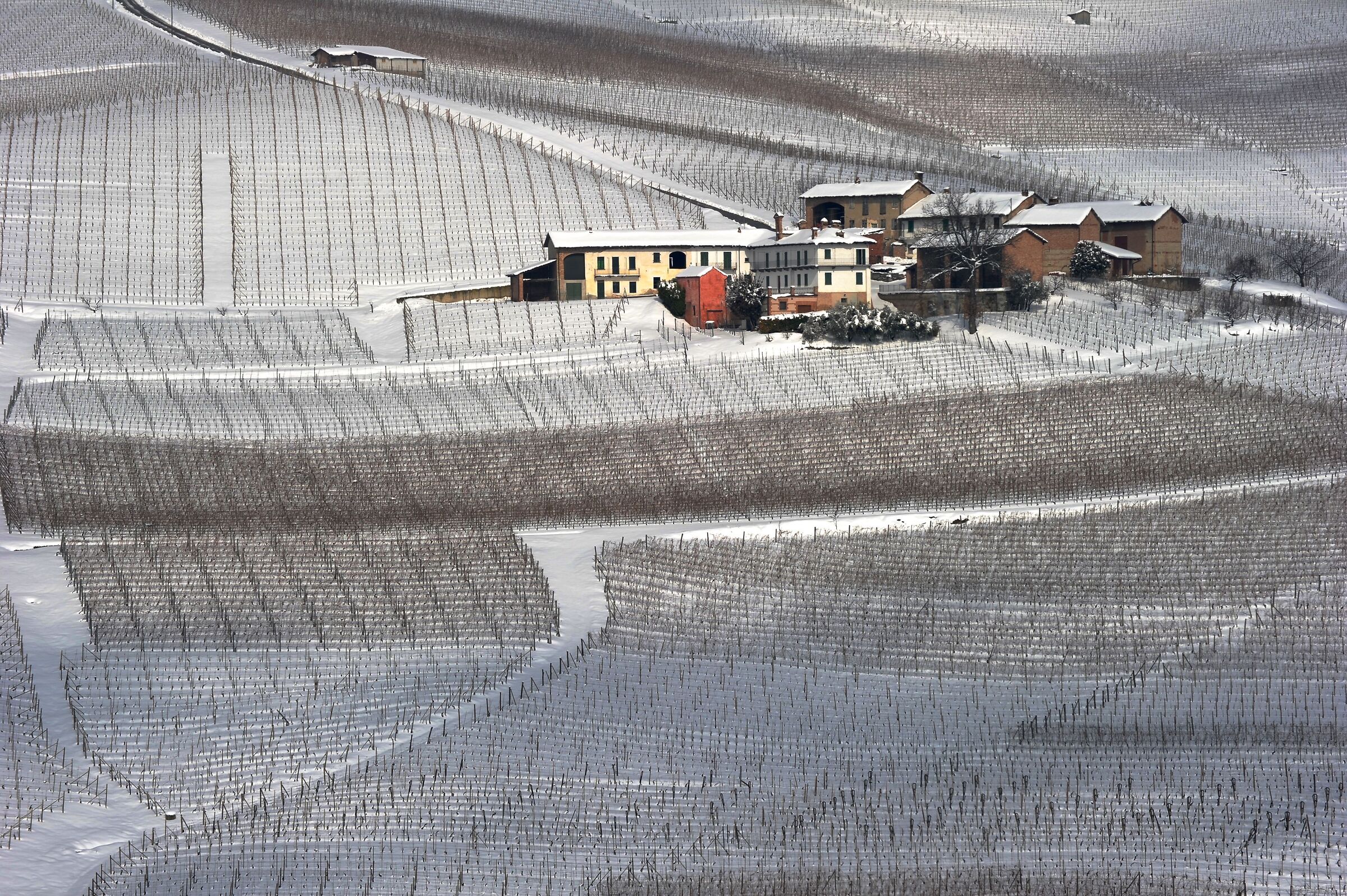Nevicata di fine inverno sui vigneti di Barolo (cn)