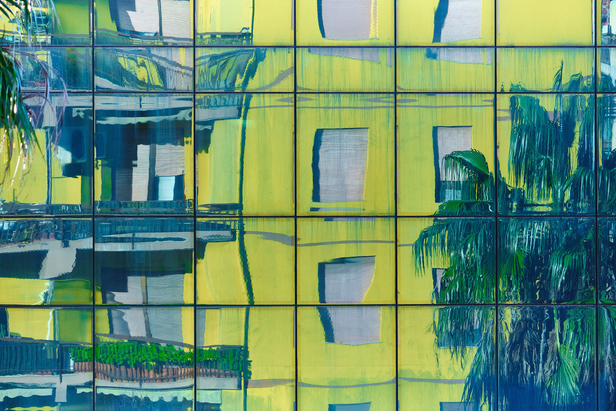 Window
