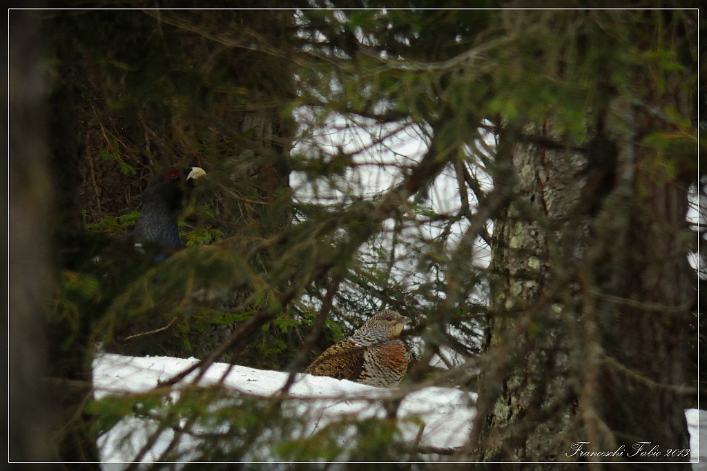 Finito di cantare...