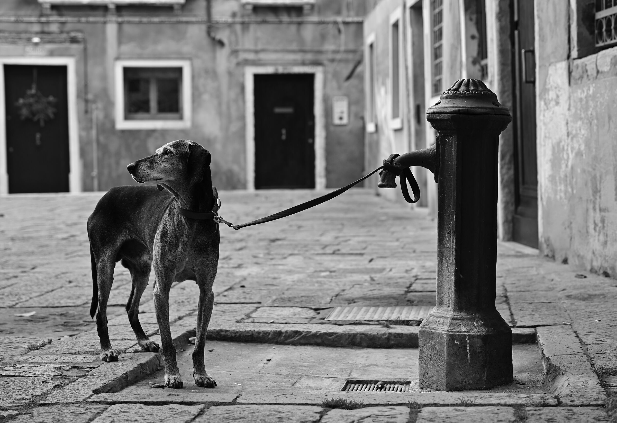 Ci sentiamo un po' soli?