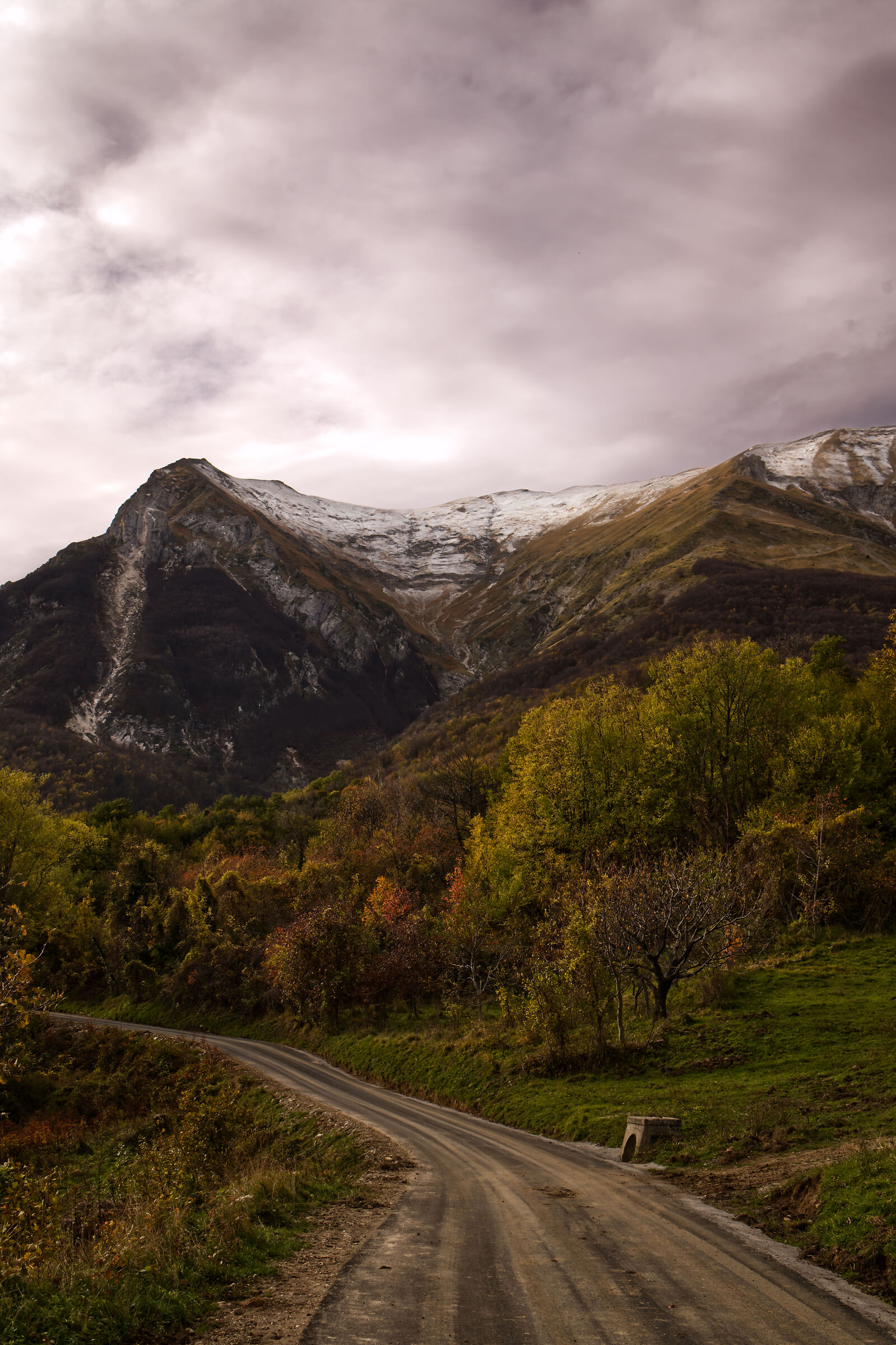The Carrier's Funnel