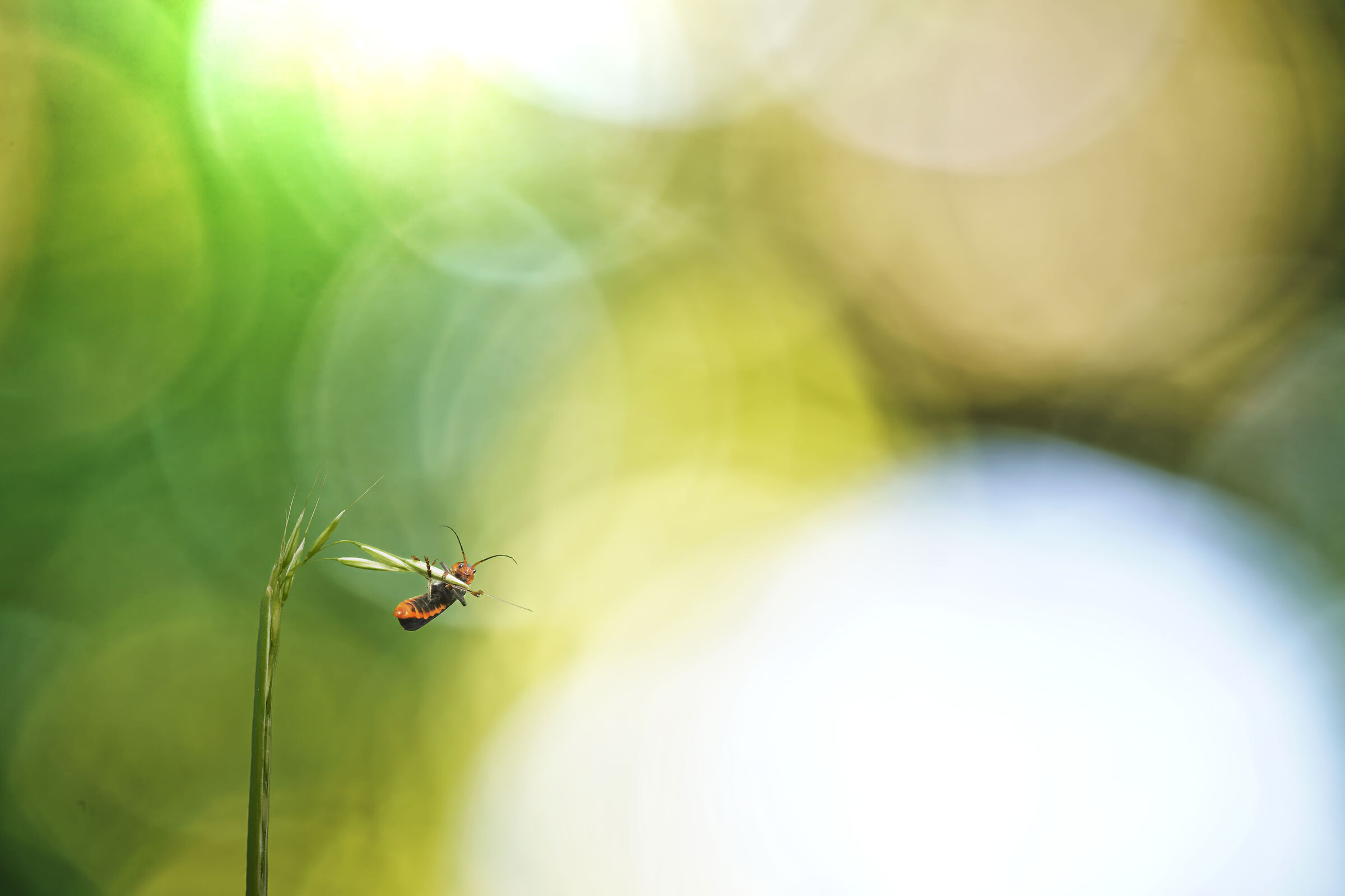Untitled Photo