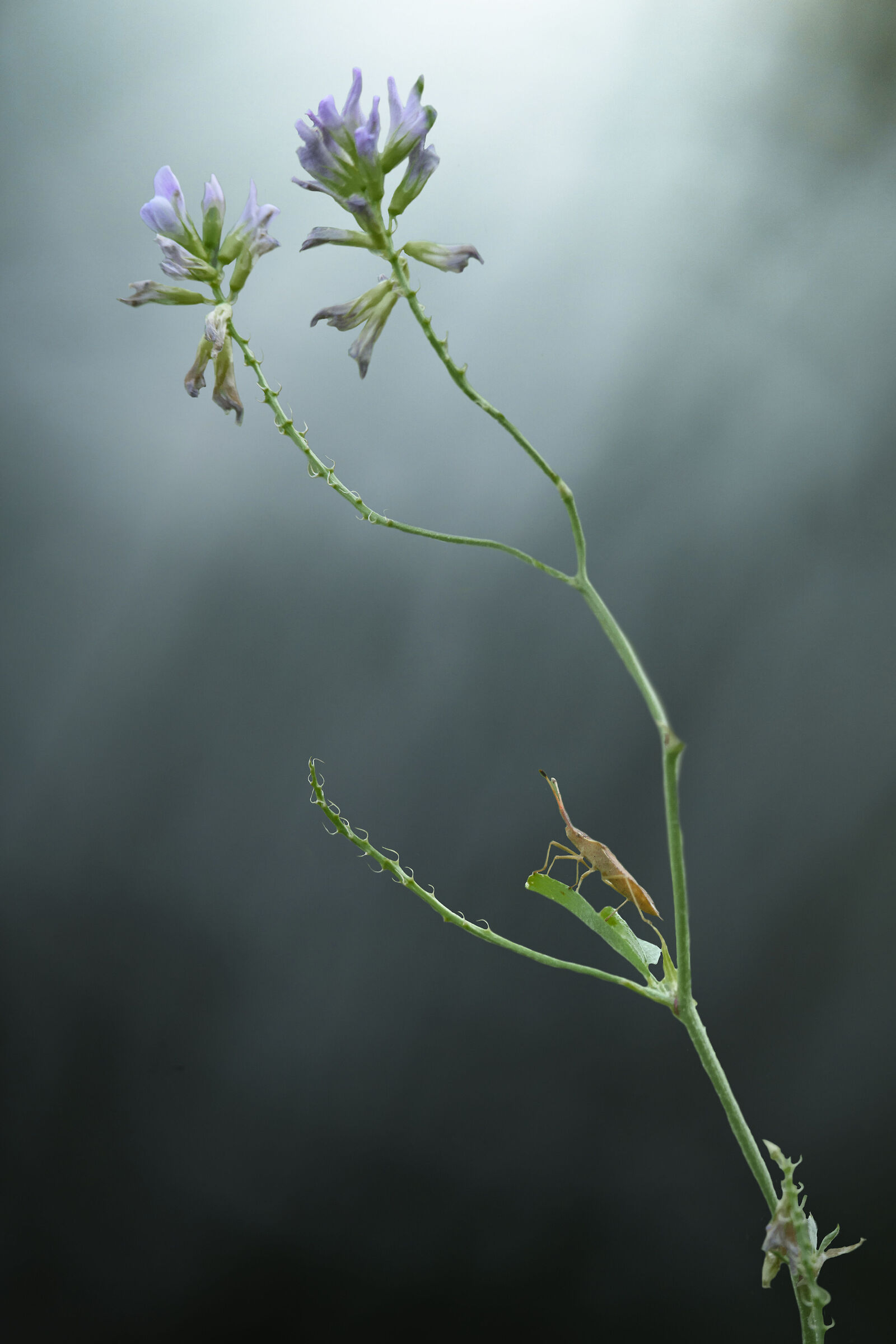 Untitled Photo