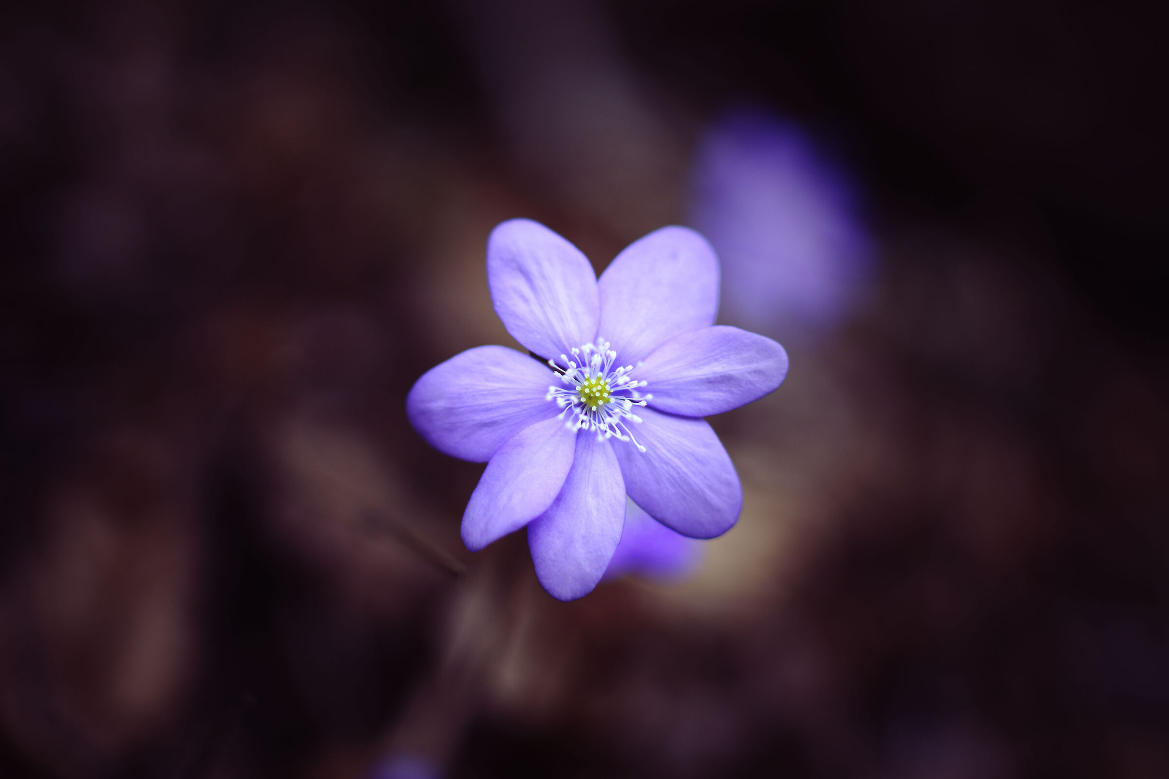 Untitled Photo