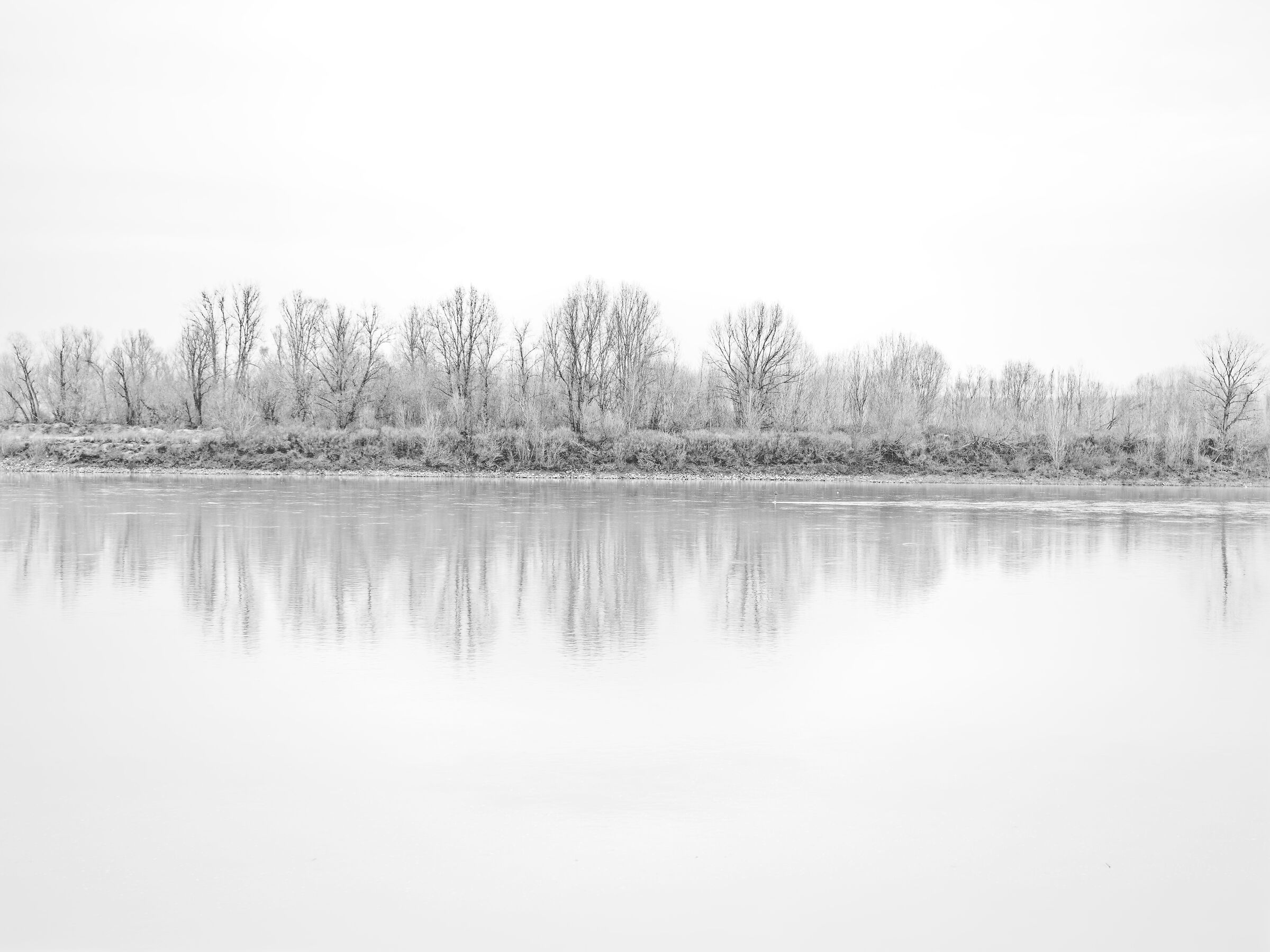 Reflections and Light