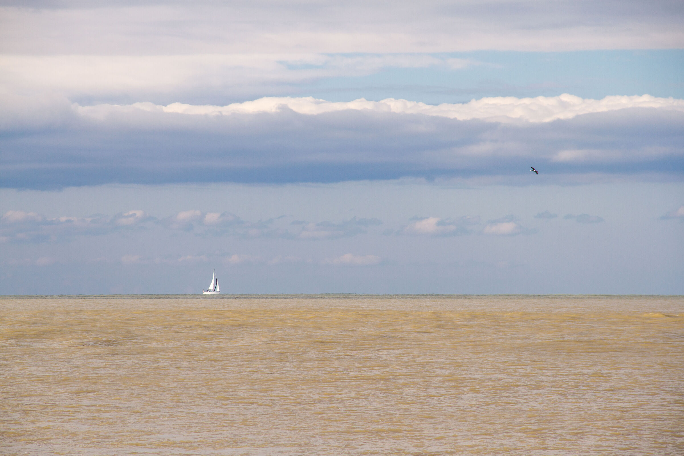 Quando il mare incontra la terra.