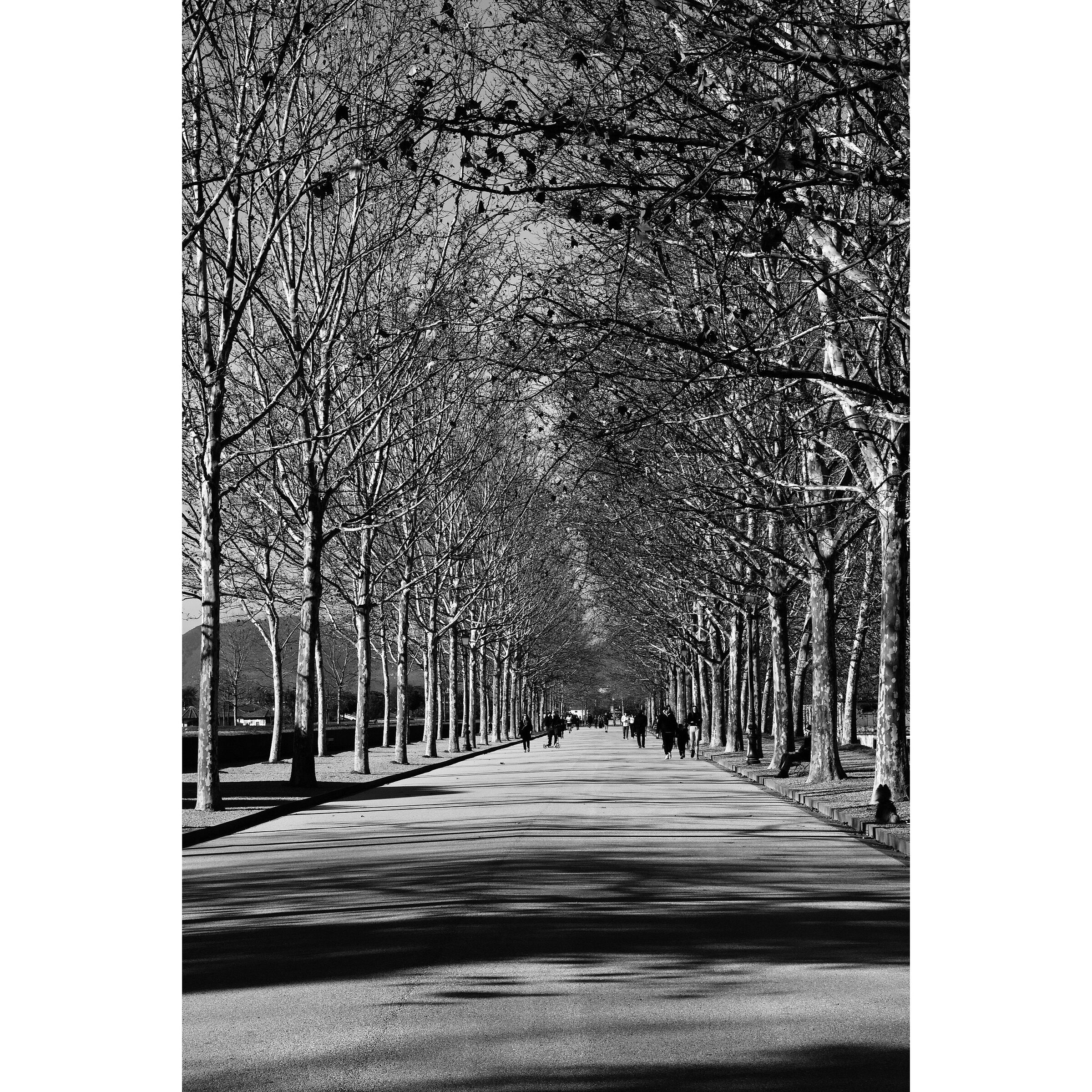 Untitled Photo