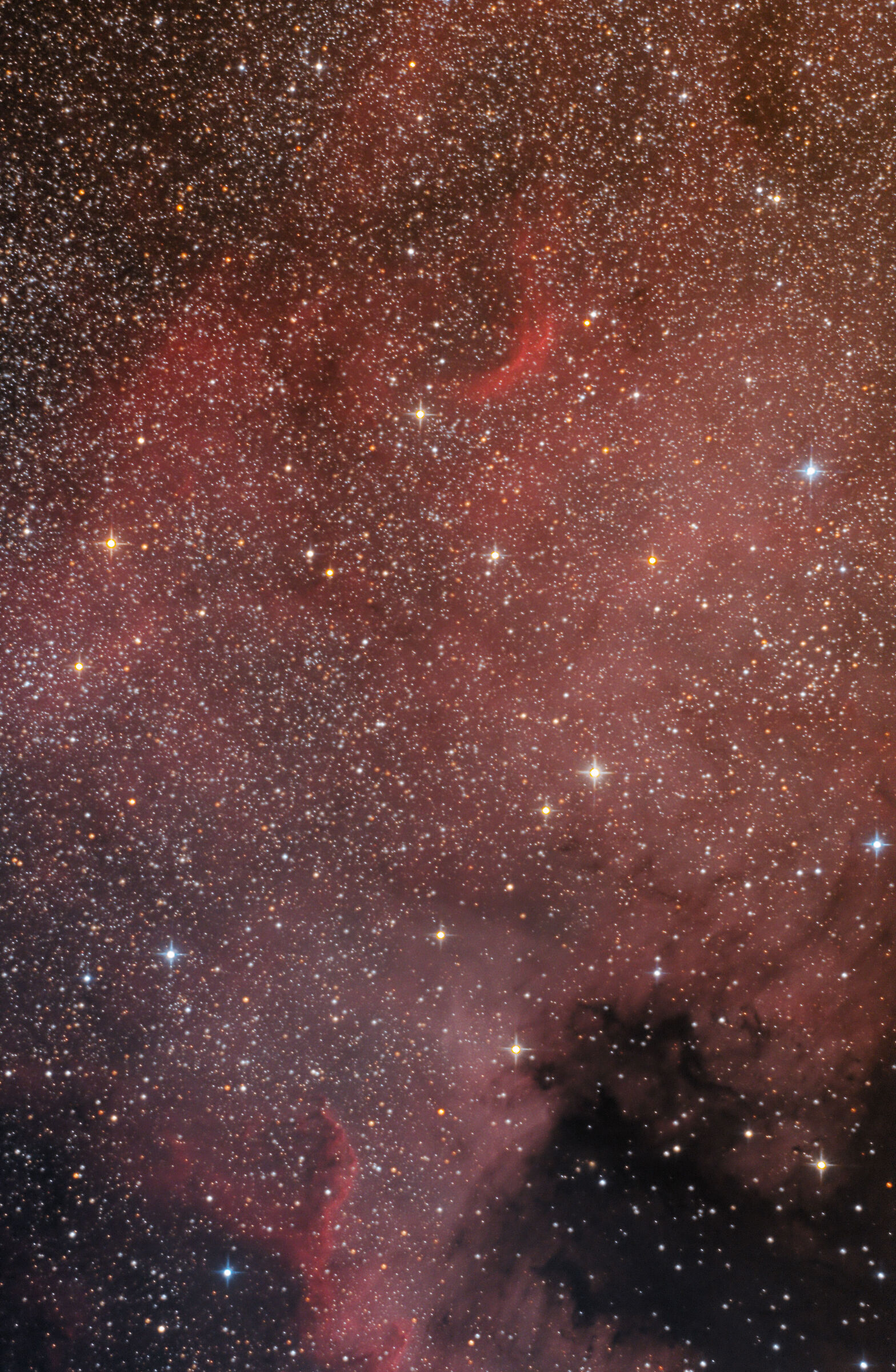 Ngc7000 Nebulosa Nord America