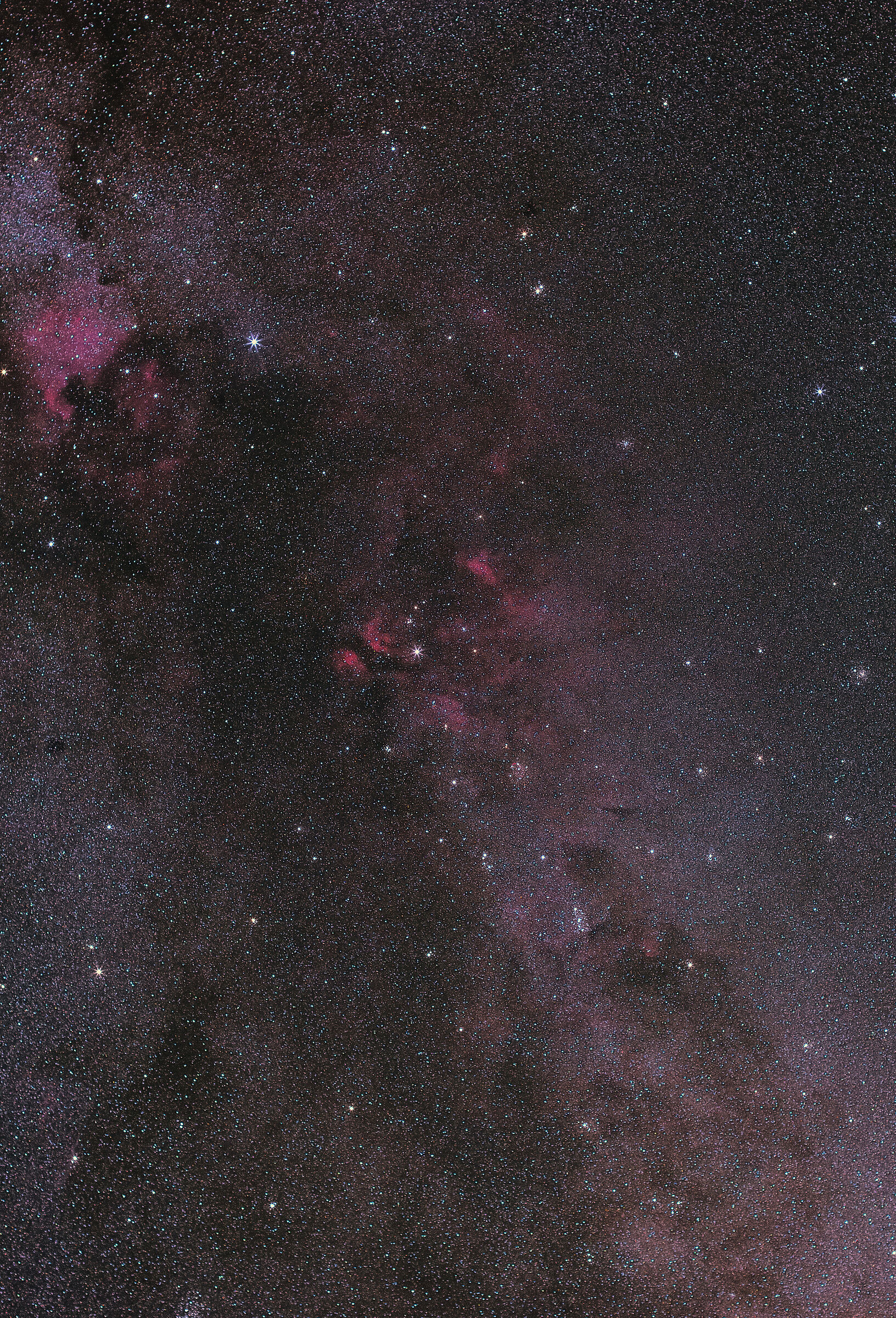 Costellazione del Cigno