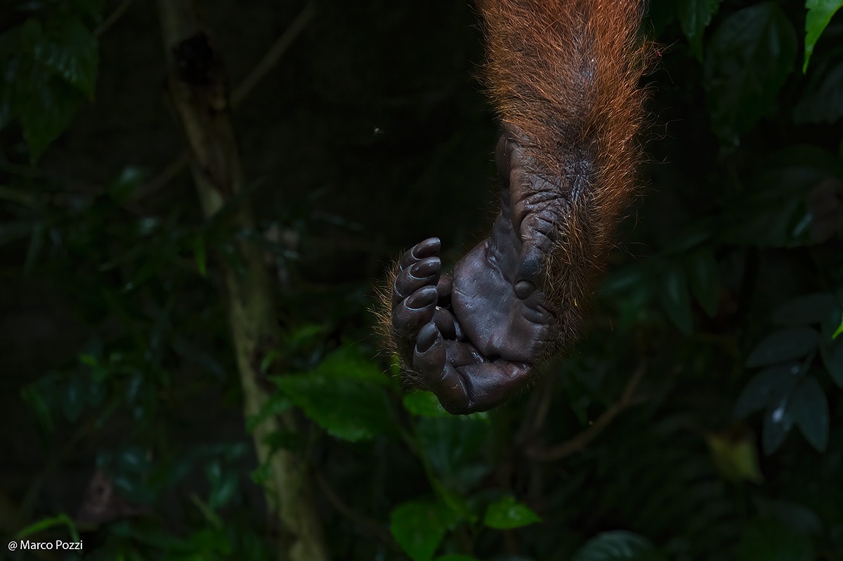 Your hand