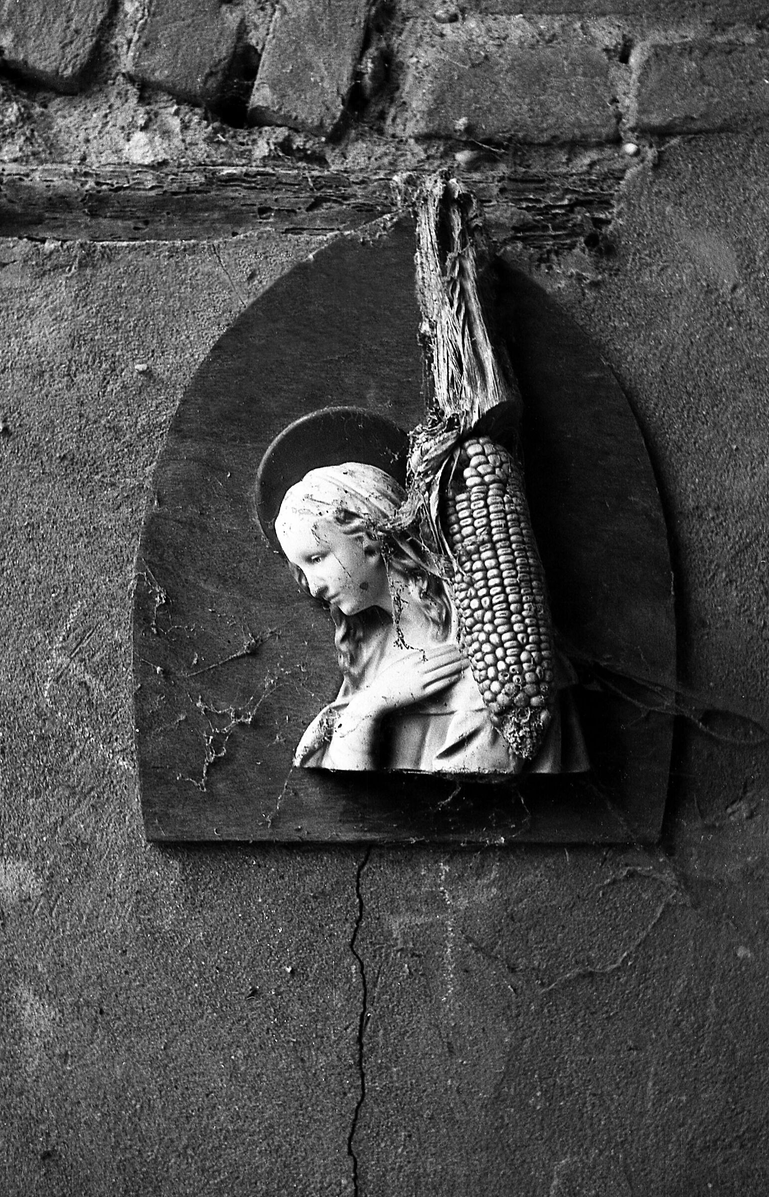 Virgen mexicana ;/)