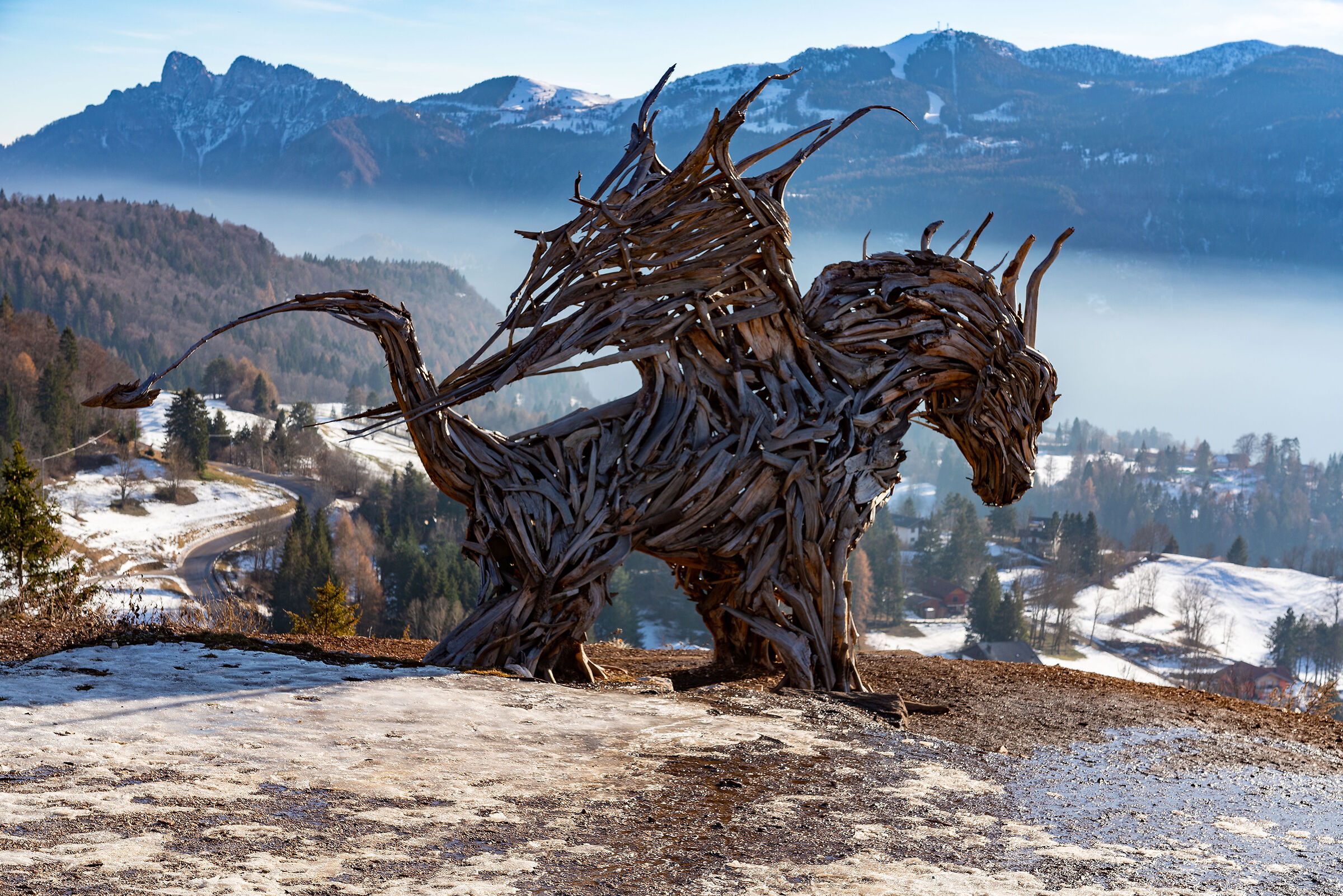 The Vaja Dragon