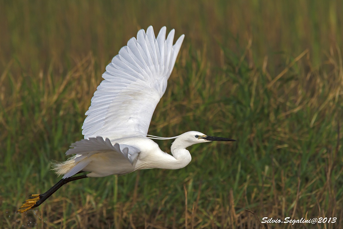 Basta foto..me ne vado !!!