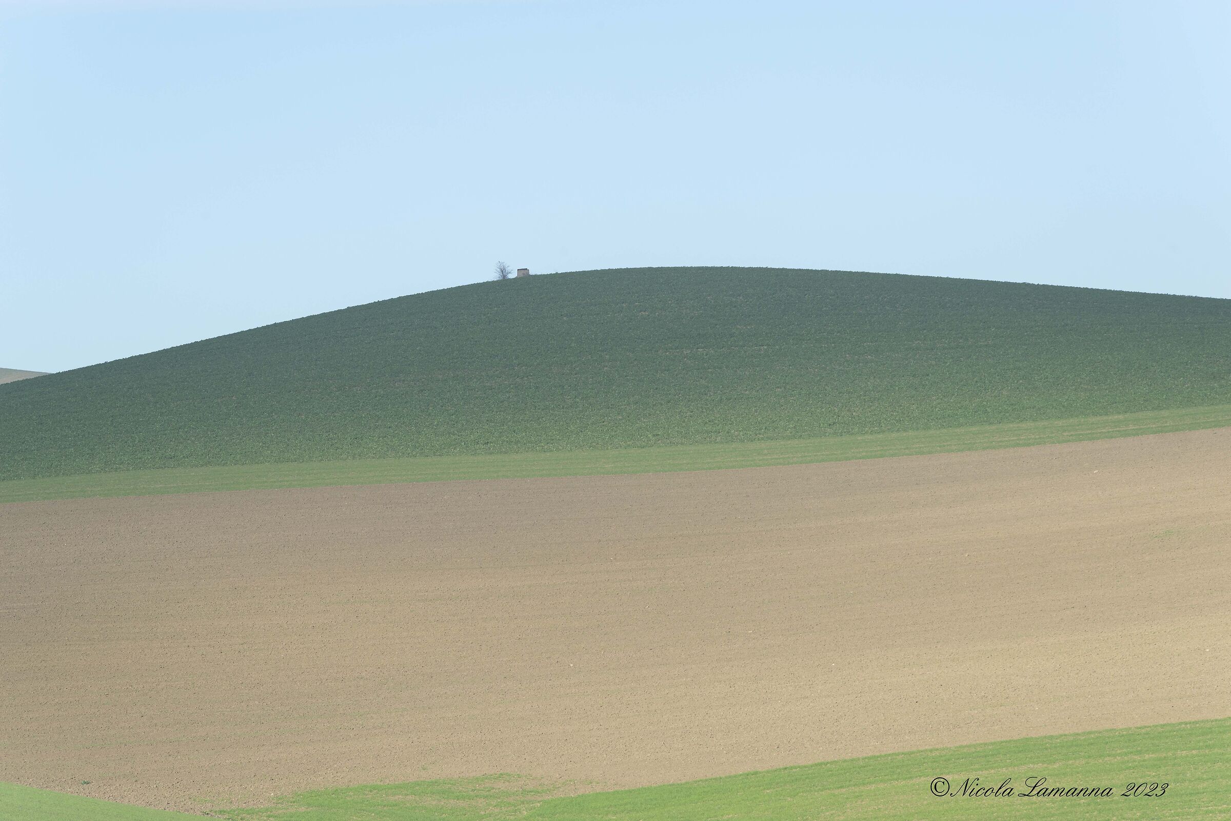 Untitled Photo