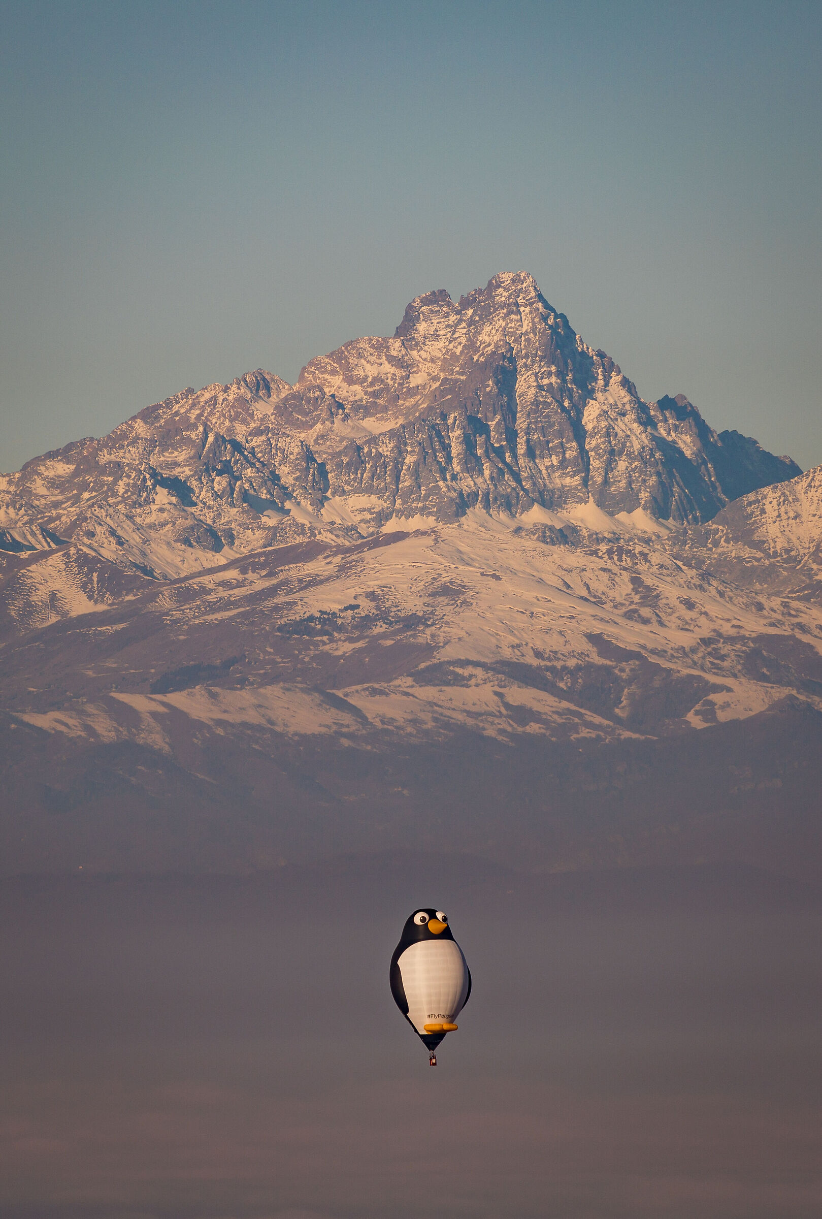 The Penguin and KING