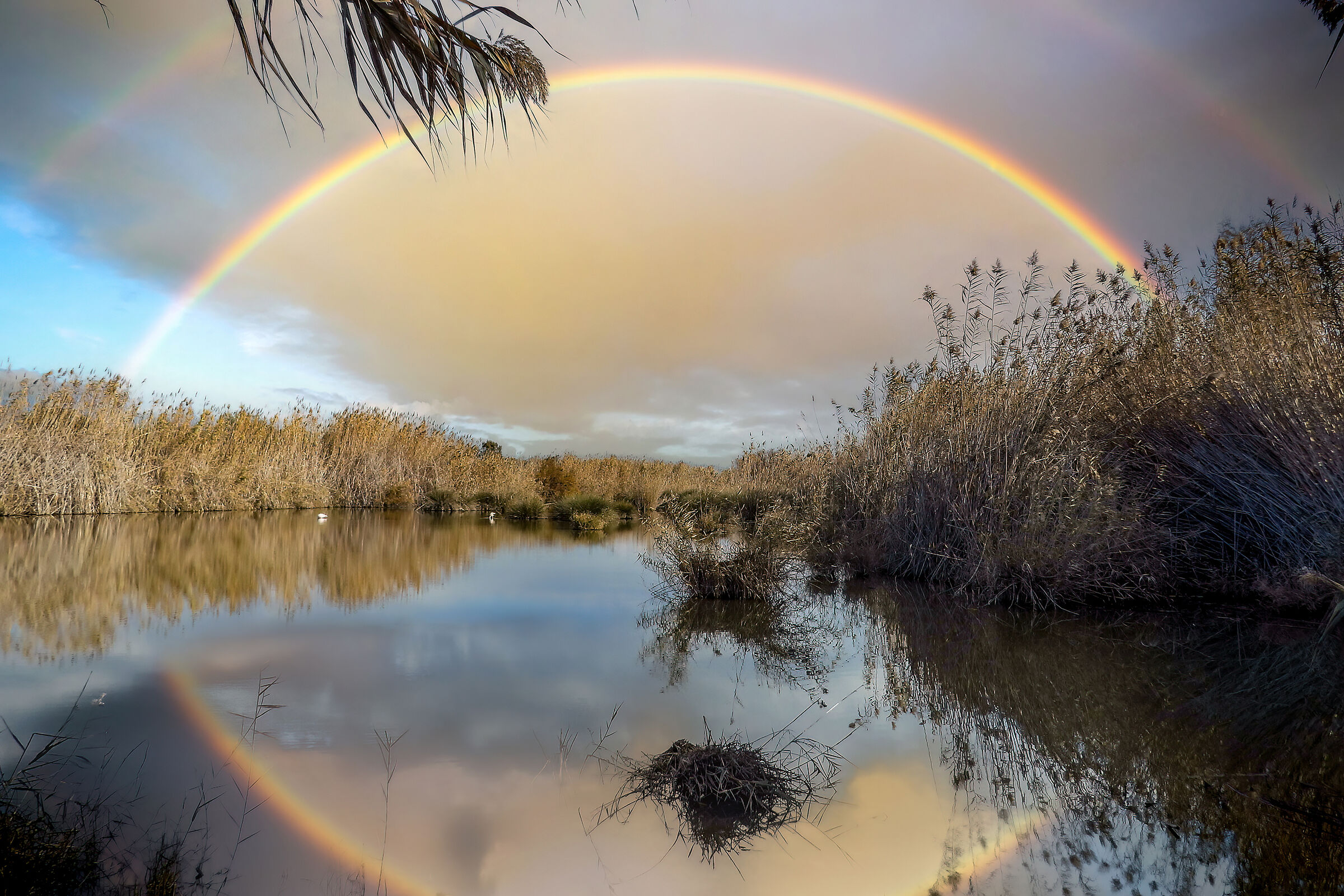 Park of Molentargius Cagliari