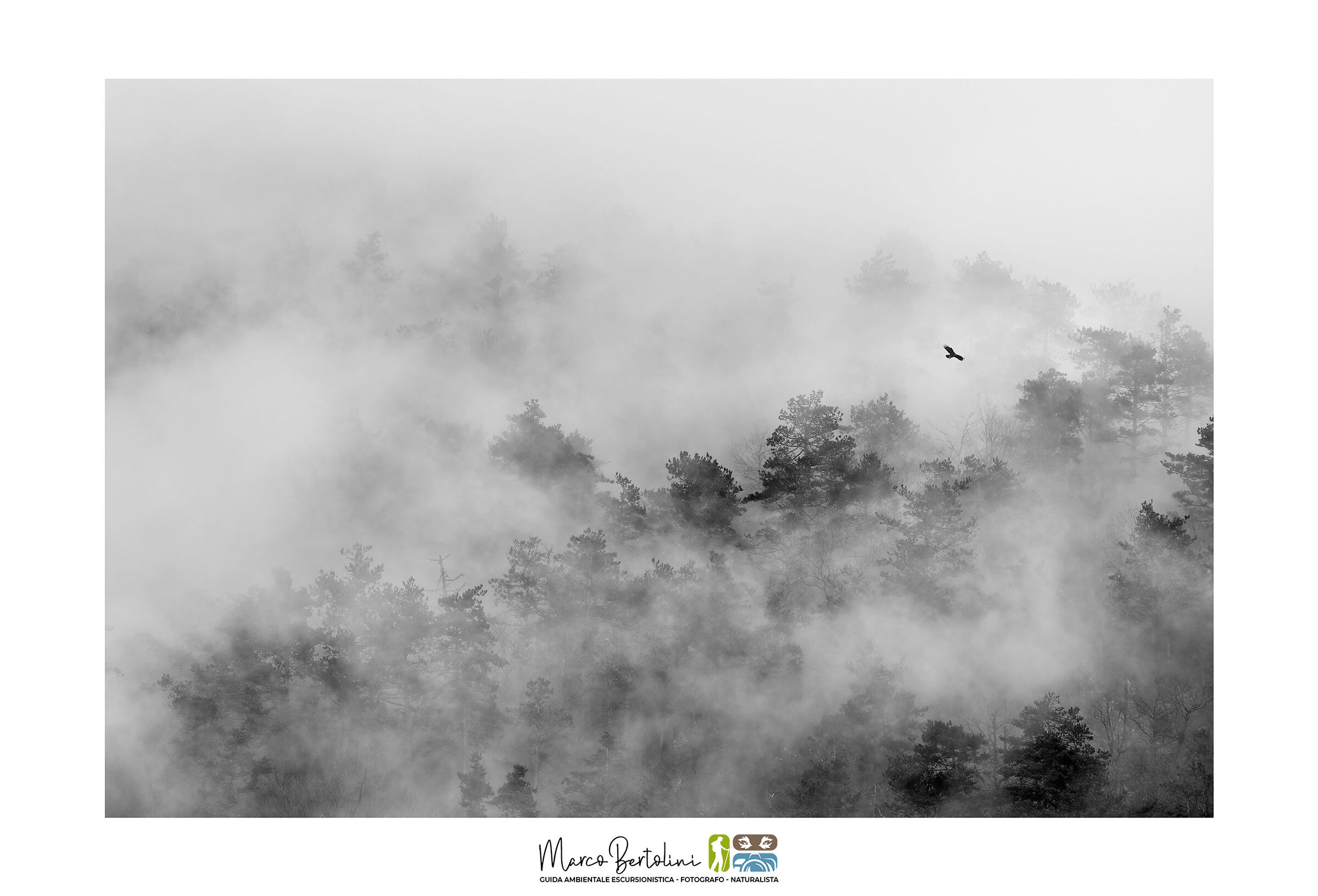 Between mists and Eagles... in Liguria!