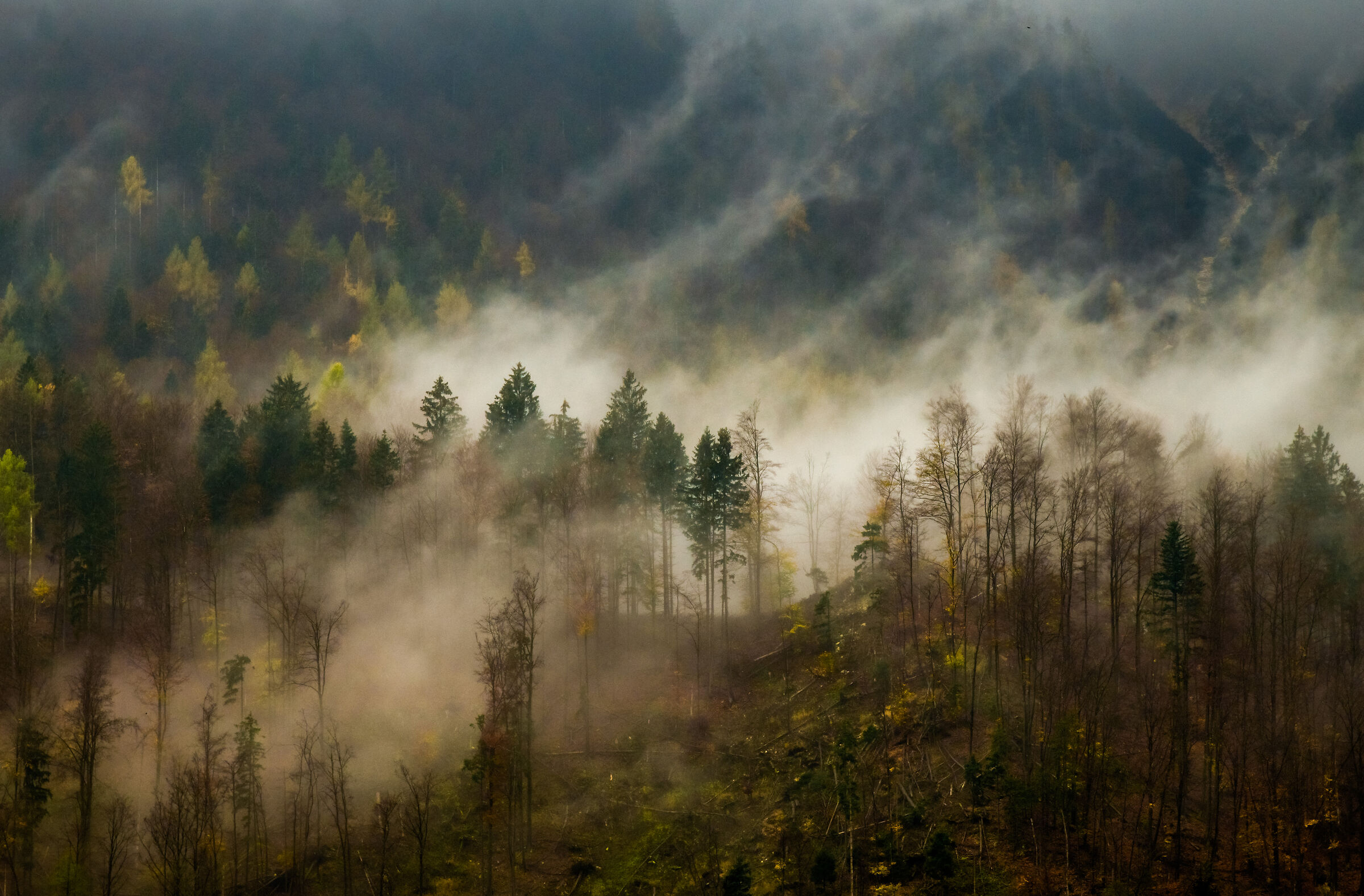 Narodni Triglav Park in Slovenia