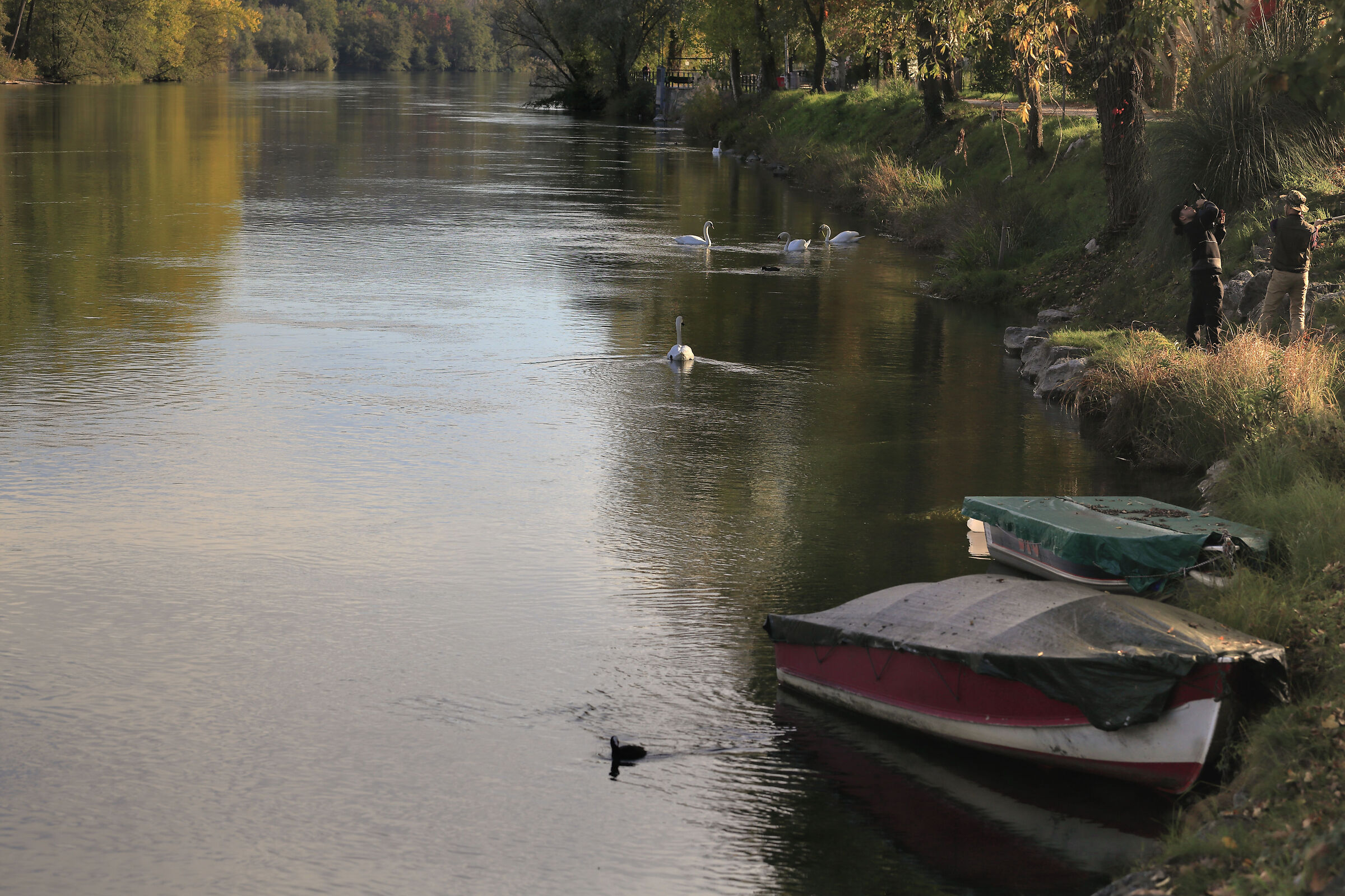Life on the river