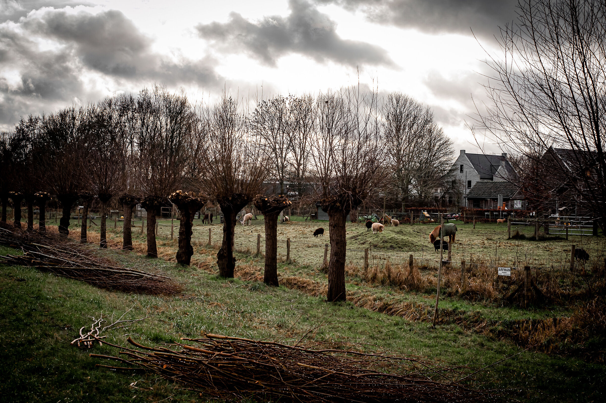 One rainy January afternoon in Hattem