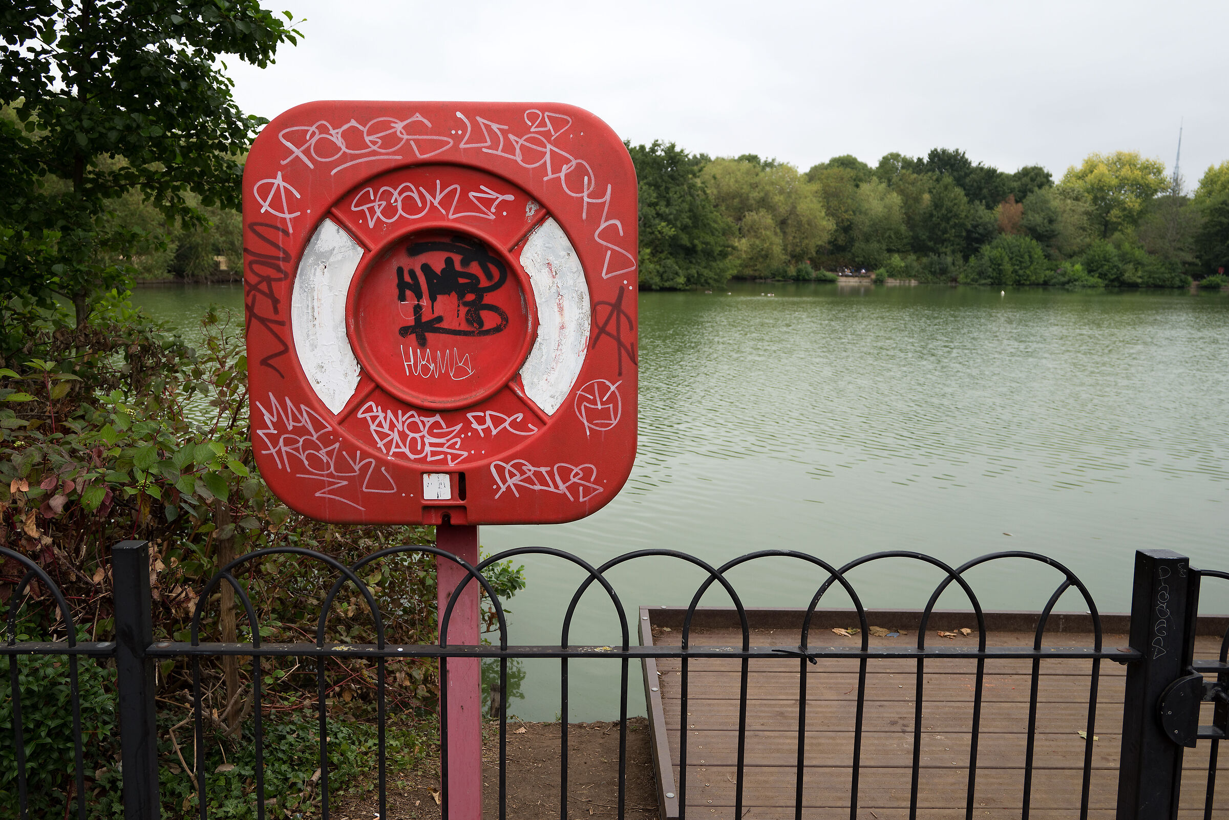 NEF Nikon Z5 Conversion Test