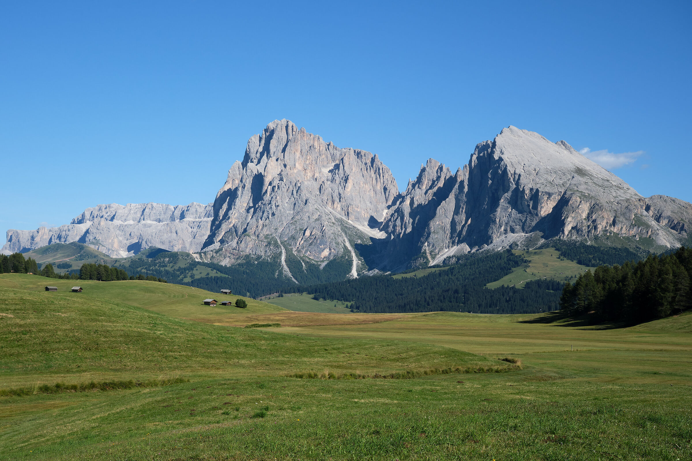 DSCF0560