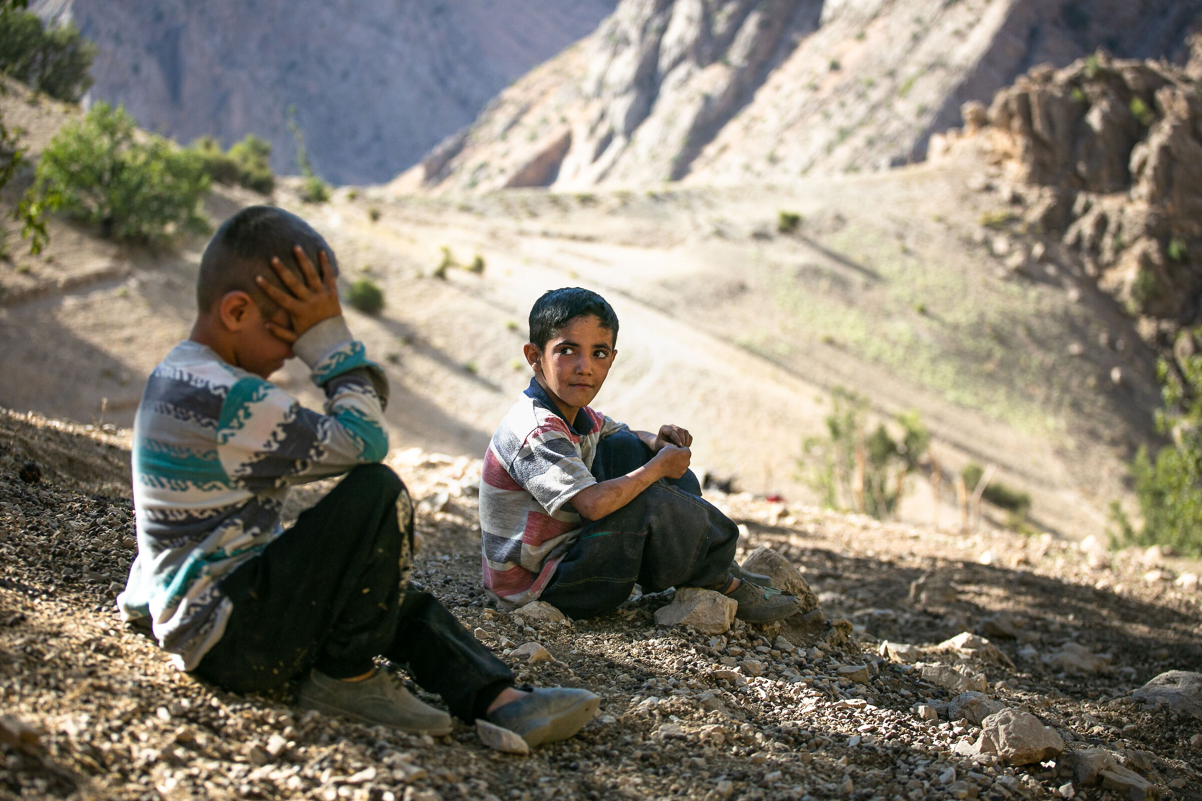 Trai i monti Zagros | Iran
