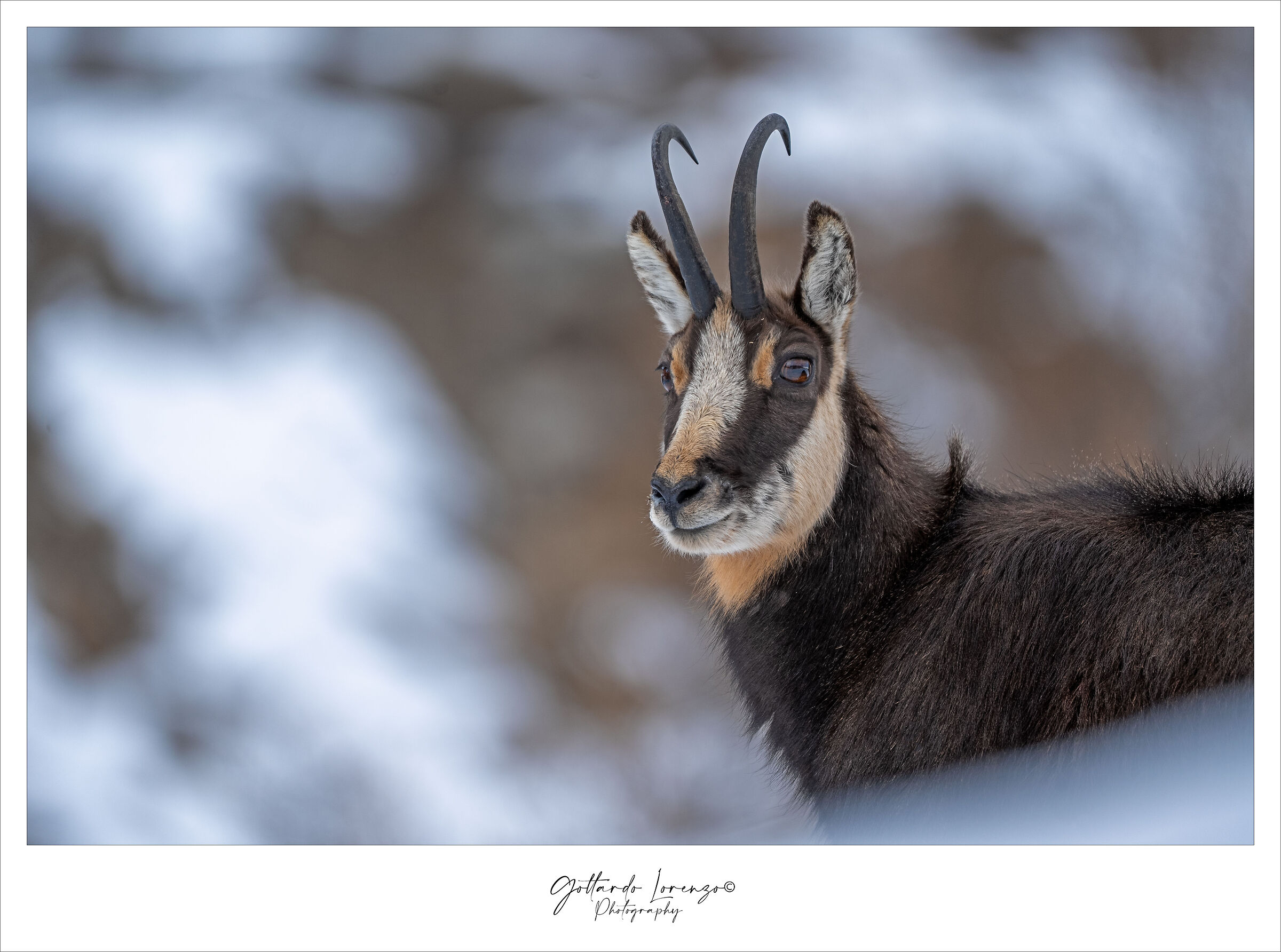 Reflection in the eyes