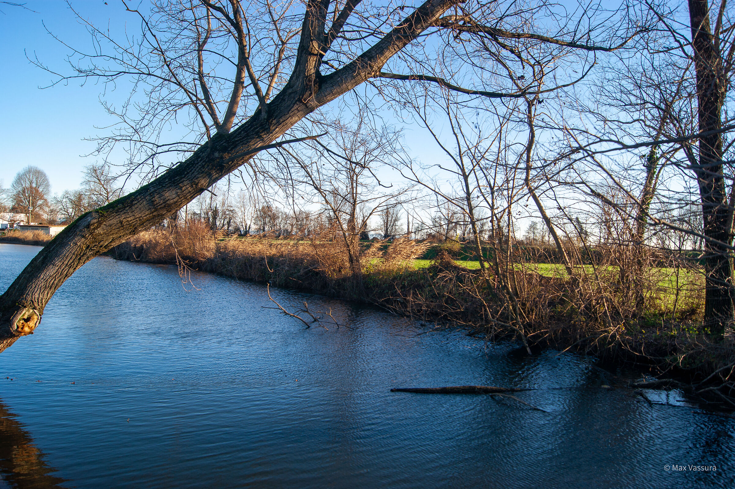 Risorgiva con laghetto