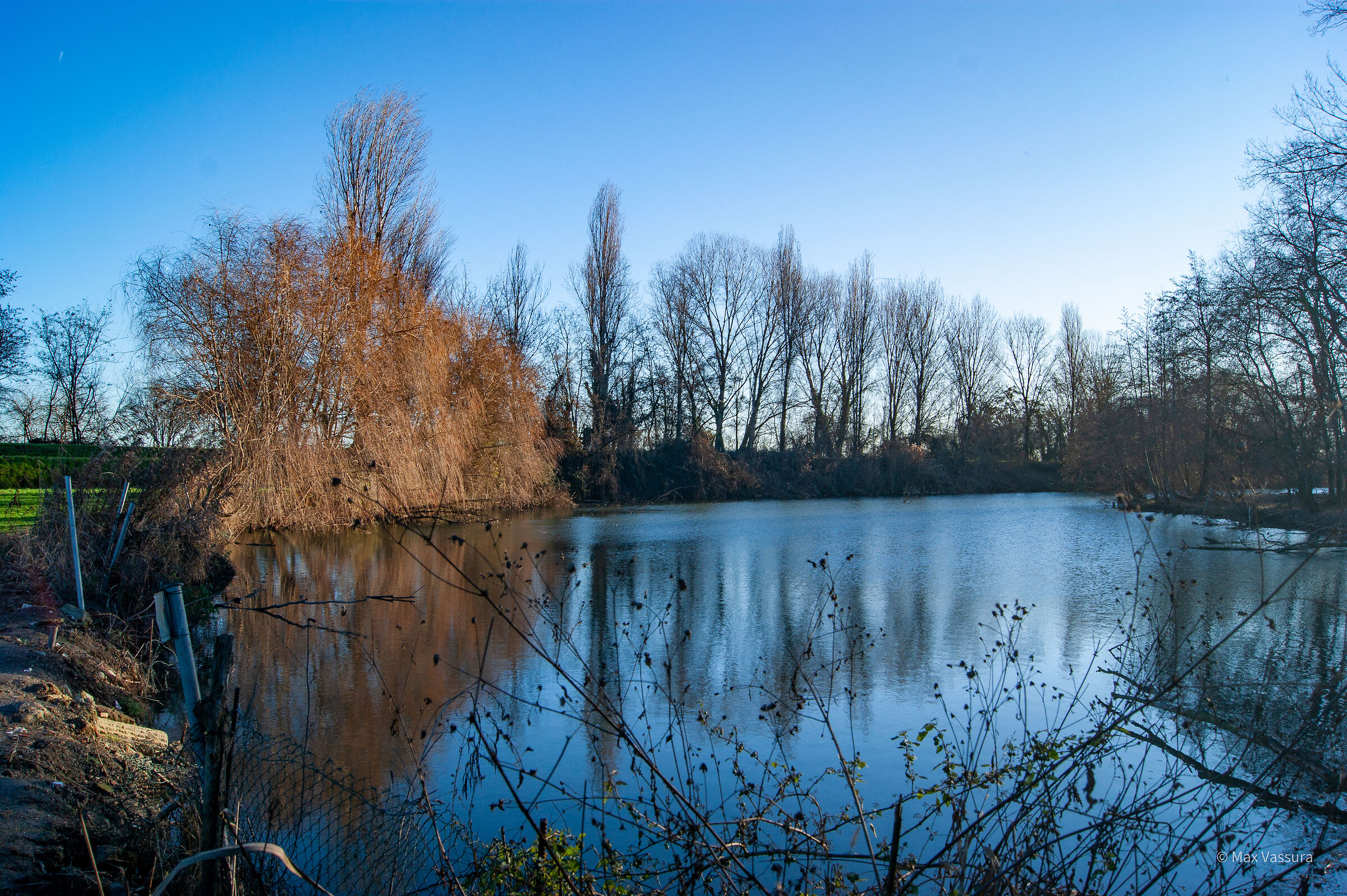 Risorgiva con laghetto