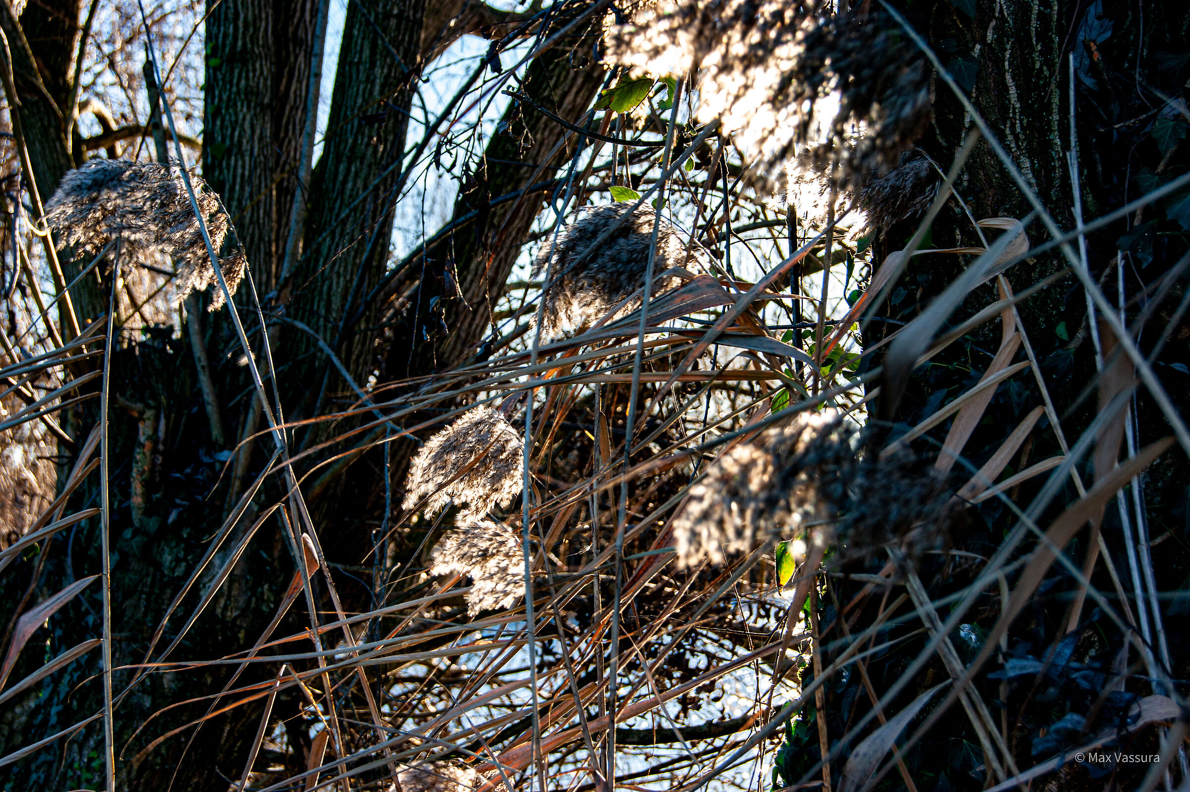 Controsole nel vento