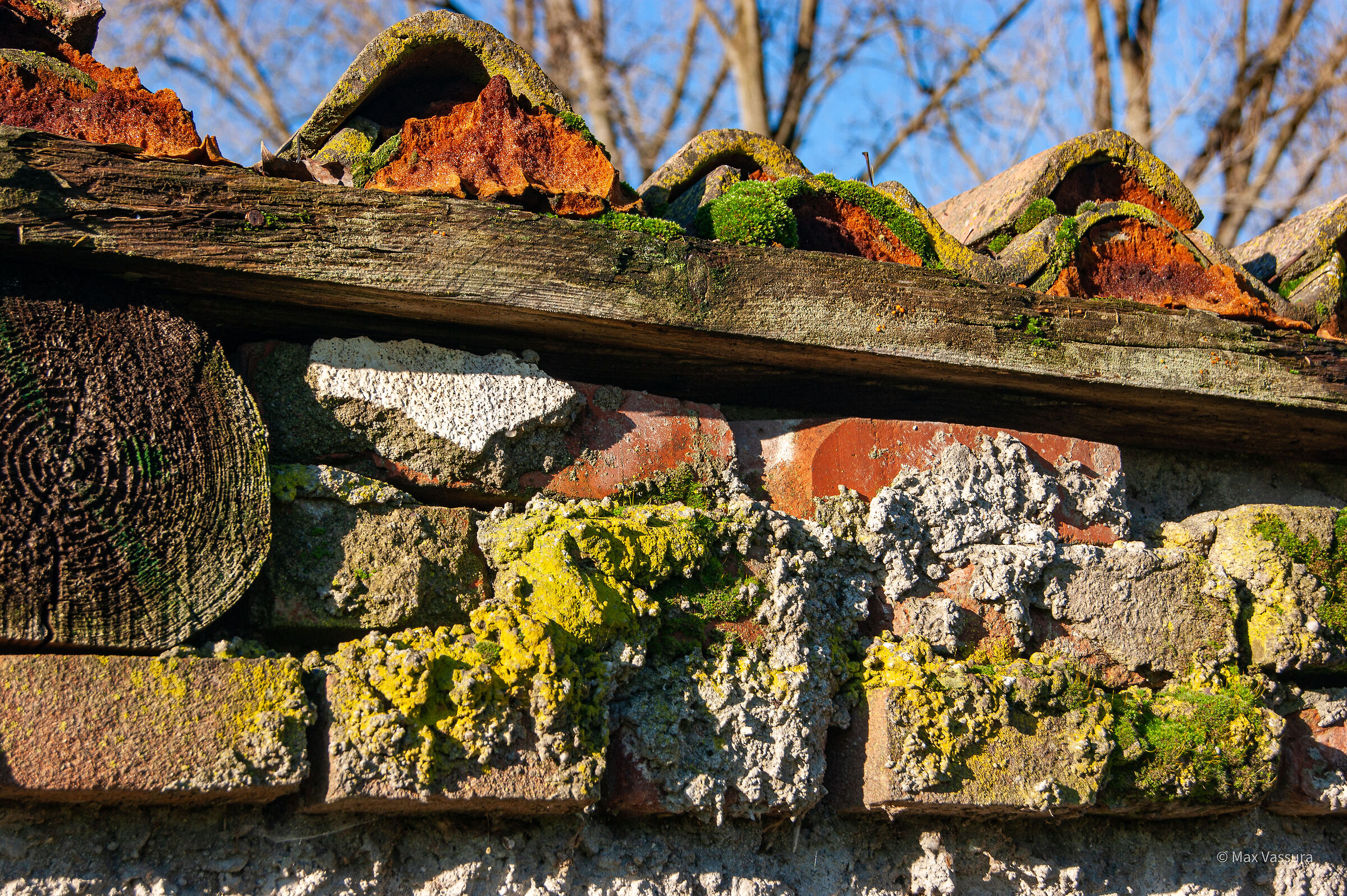 Tavolozza di colori ... che meraviglia questo CDD